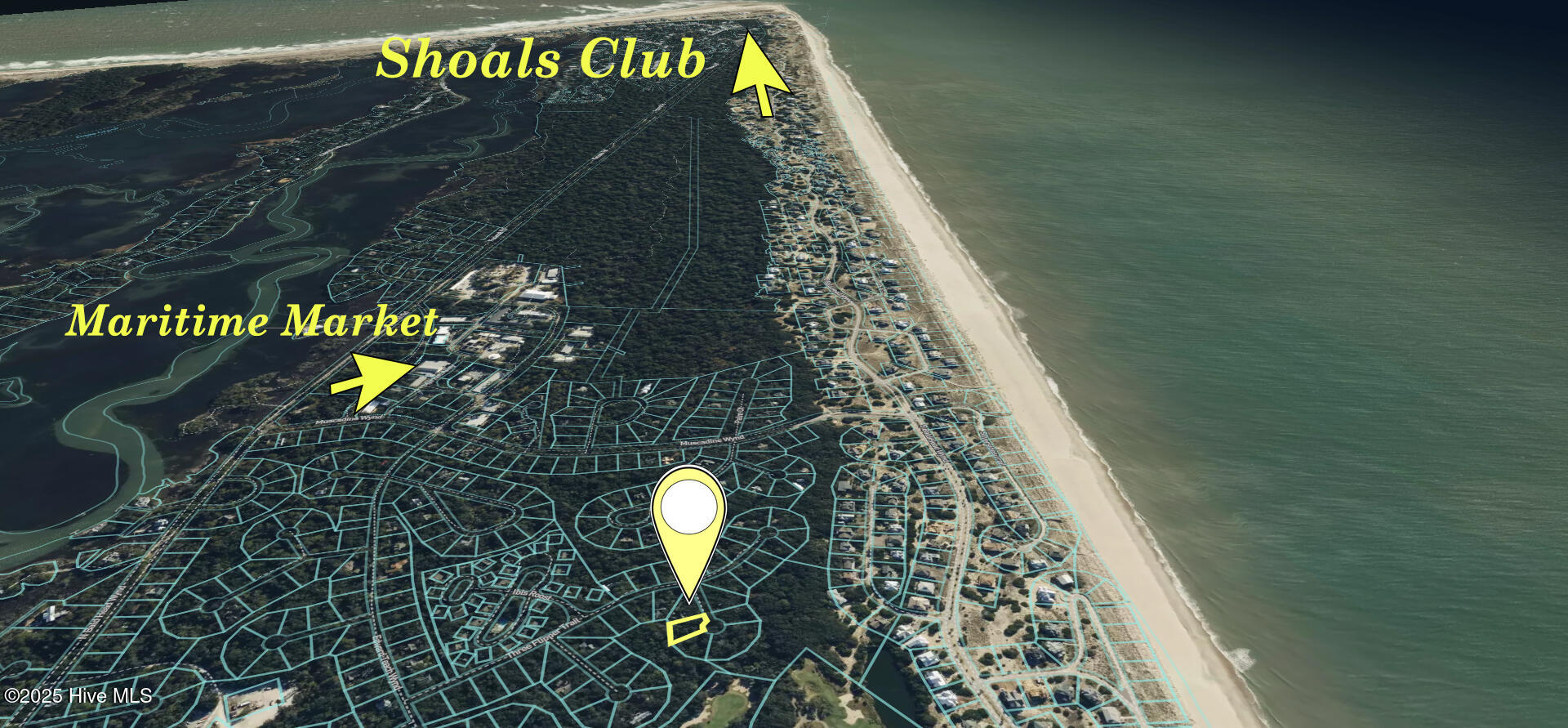 Homes for sale in Bald Head Island, NC | 5 Leopard Frog Ct, Bald Head Island, NC 28461 | MLS# 100494004