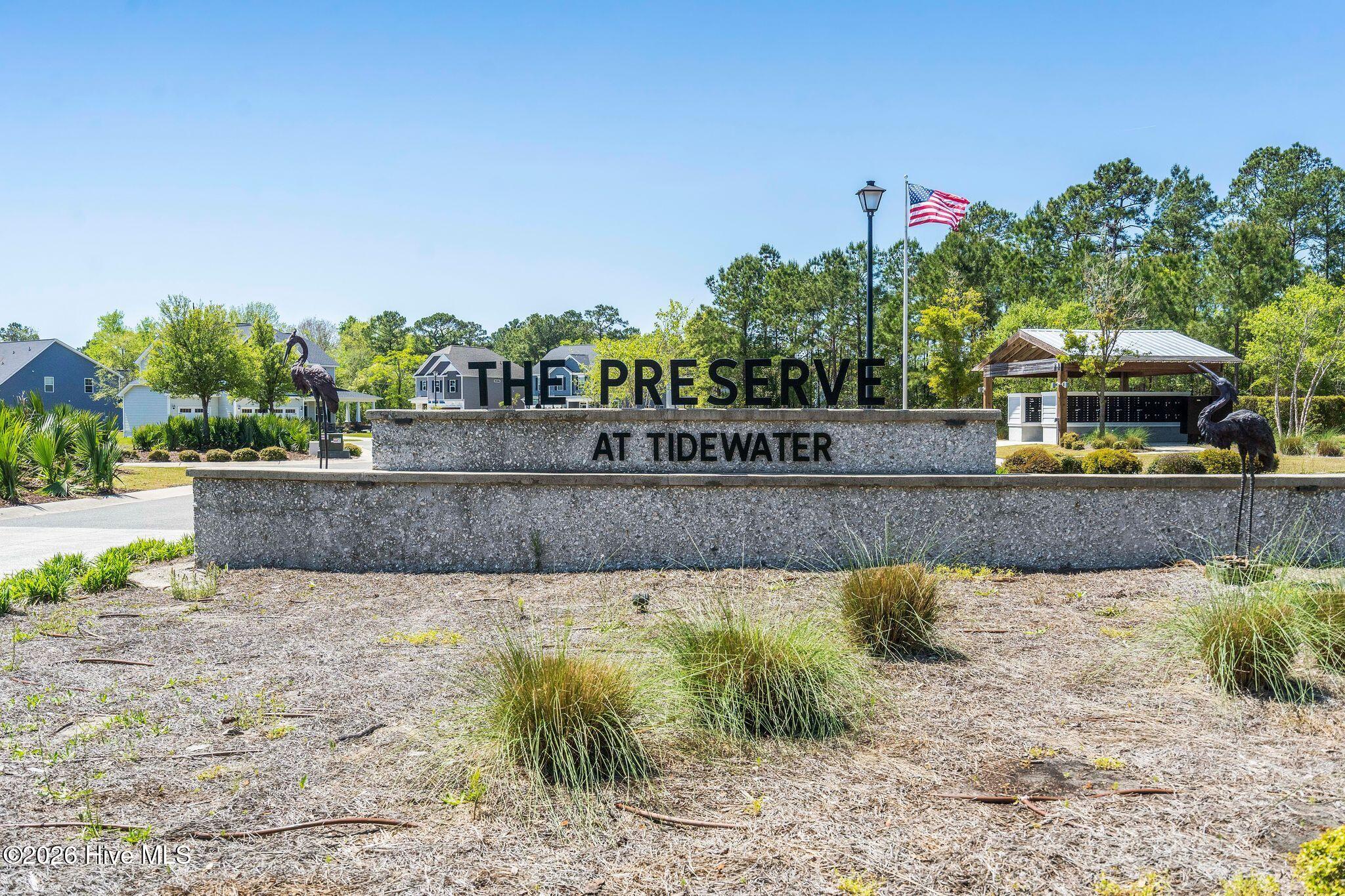 100569153 | Photo 64