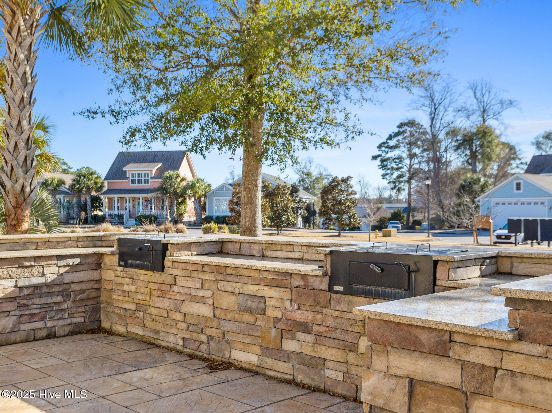 100503358 | Photo 51