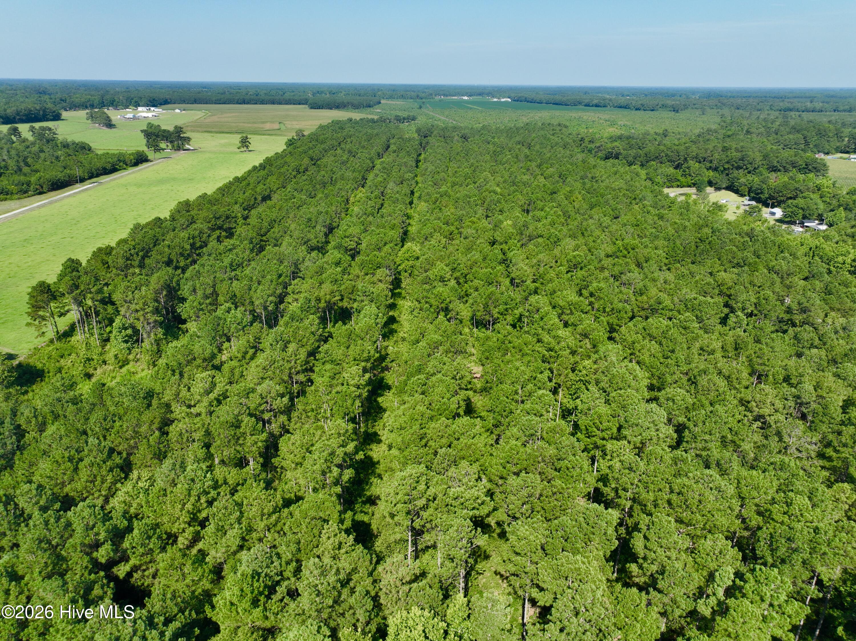 0 Cedar Fork Road,Beulaville