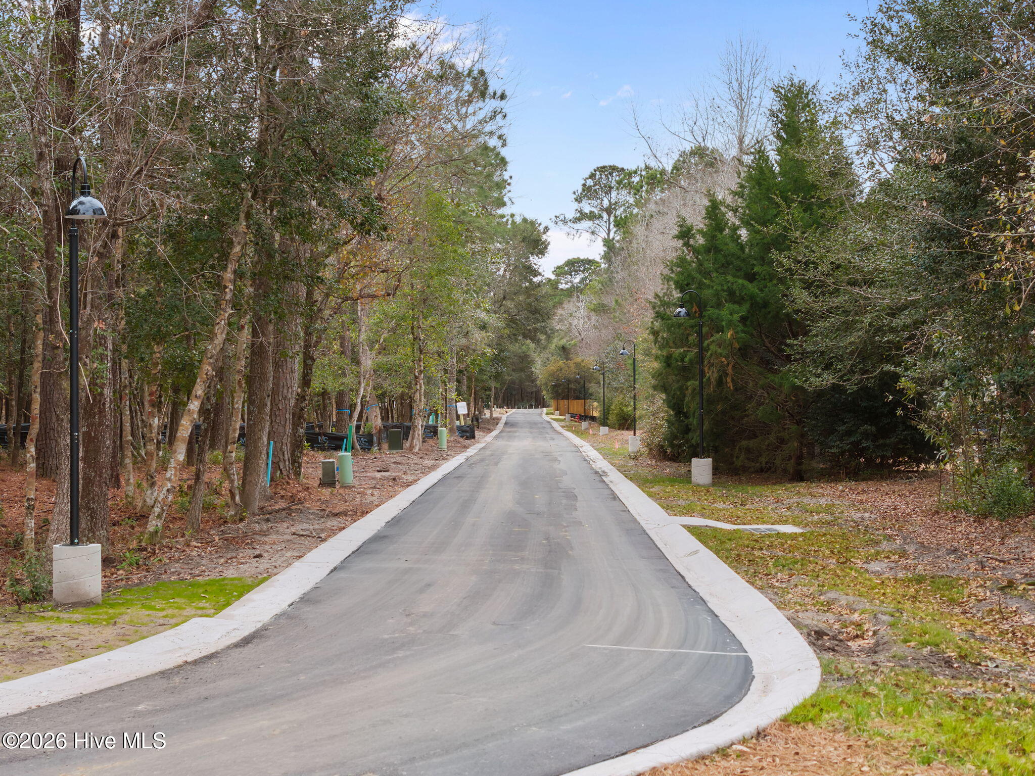 100543553 | Photo 13