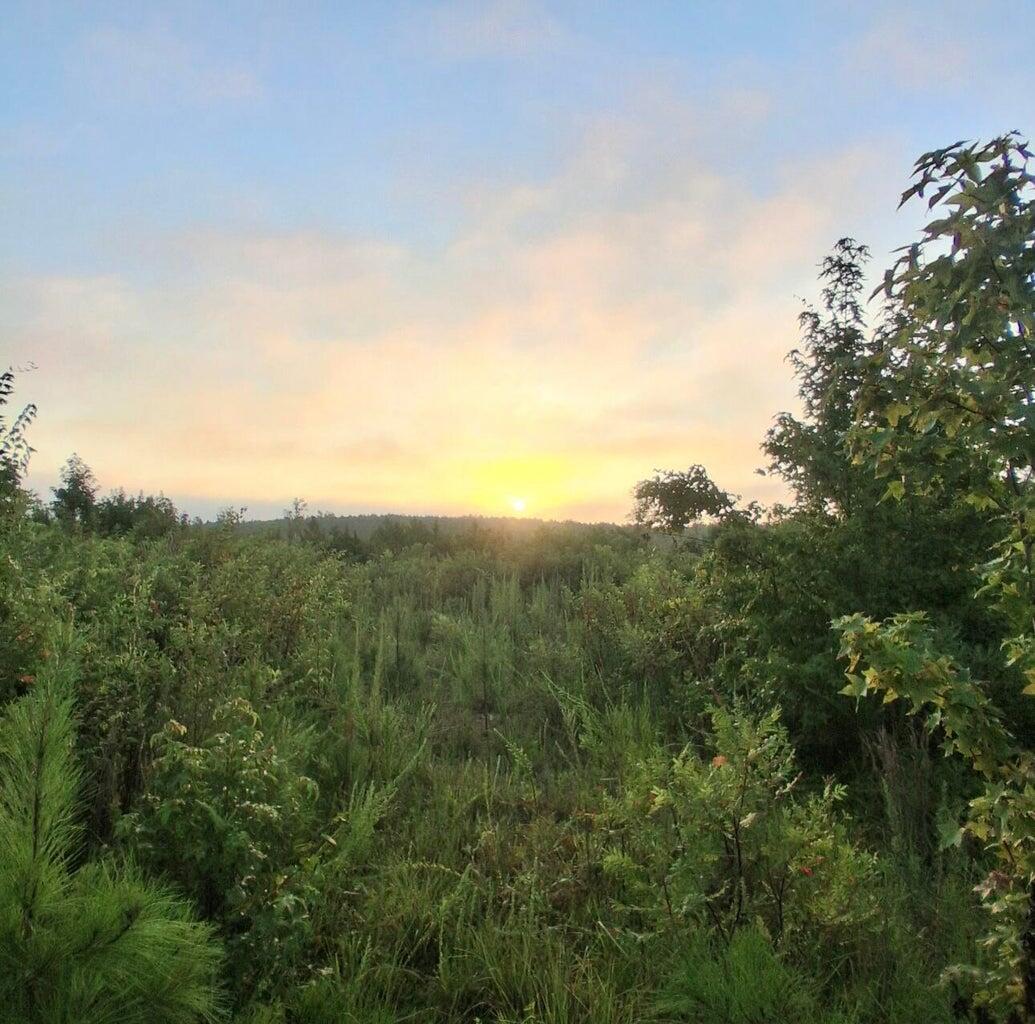 Homes for sale in Troy, SC | 30a Bowie Rd, Troy, SC 29848 | MLS# 549699