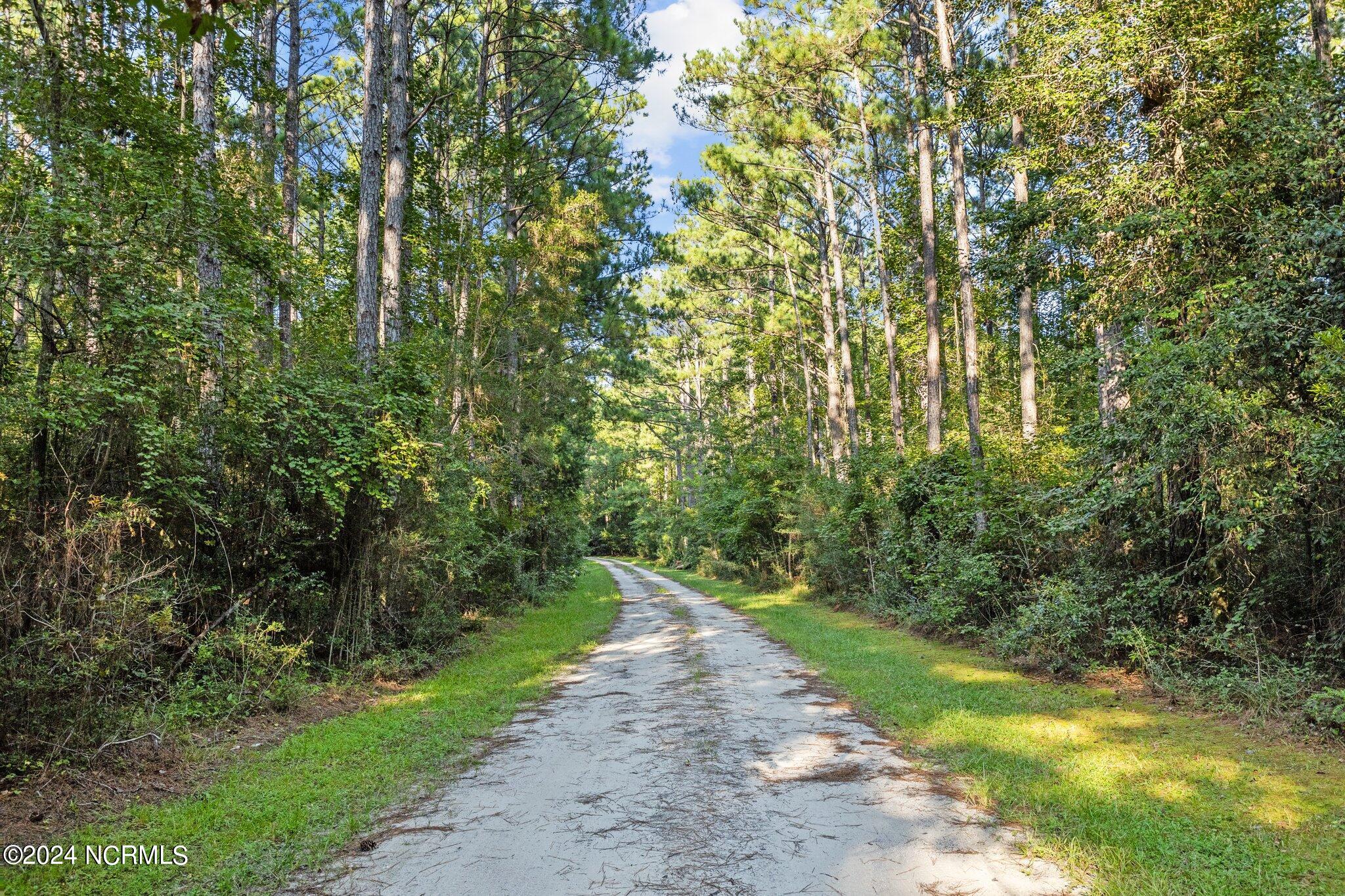 280 Donnie Davis Road,Williston
