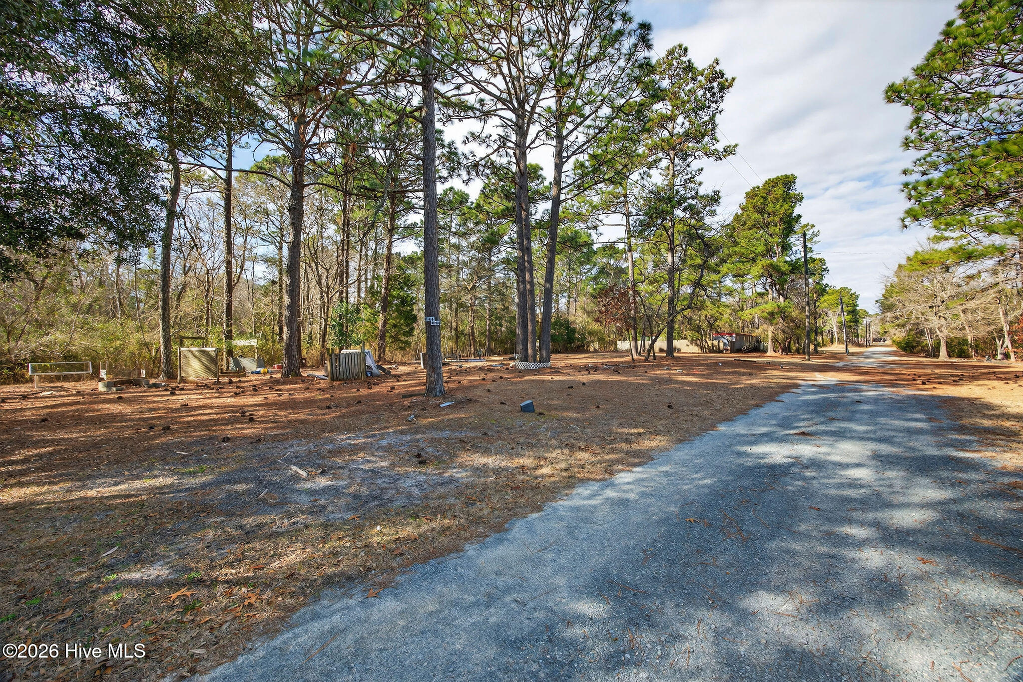 100551489 | Photo 31