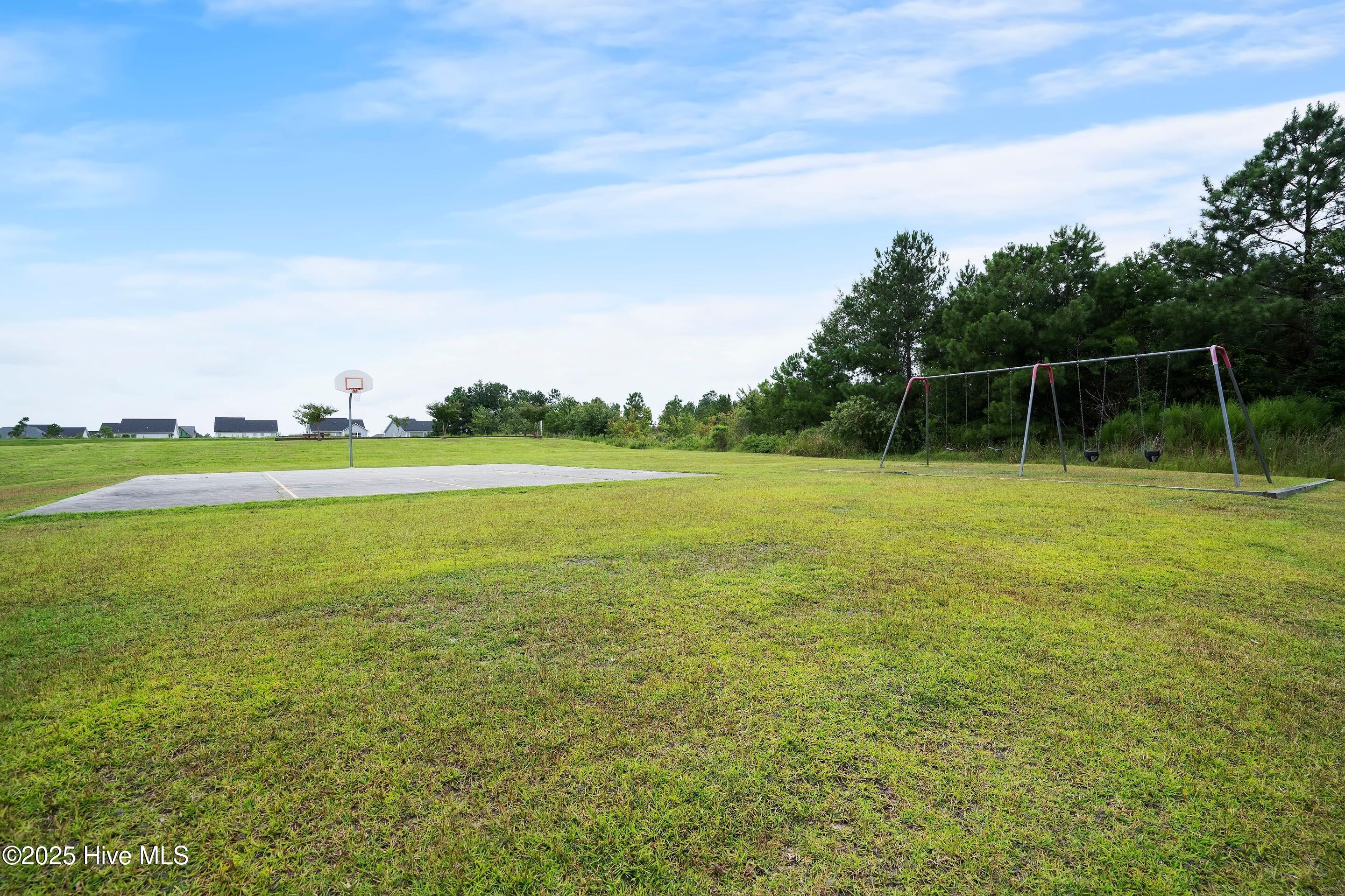 100536985 | Photo 41