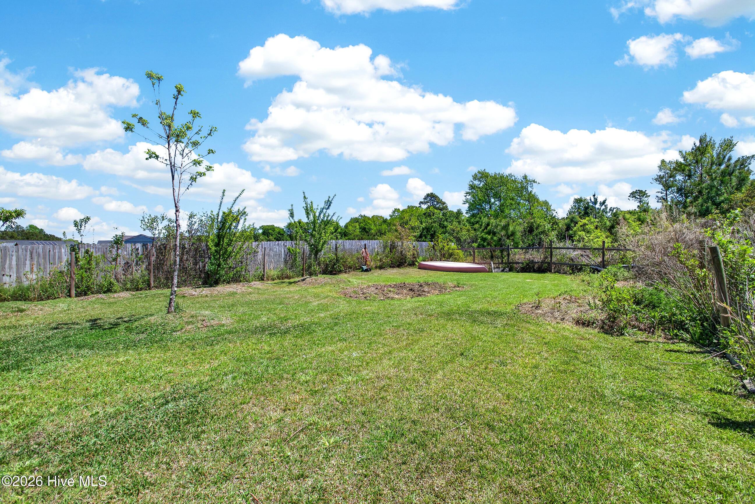 100569243 | Photo 31