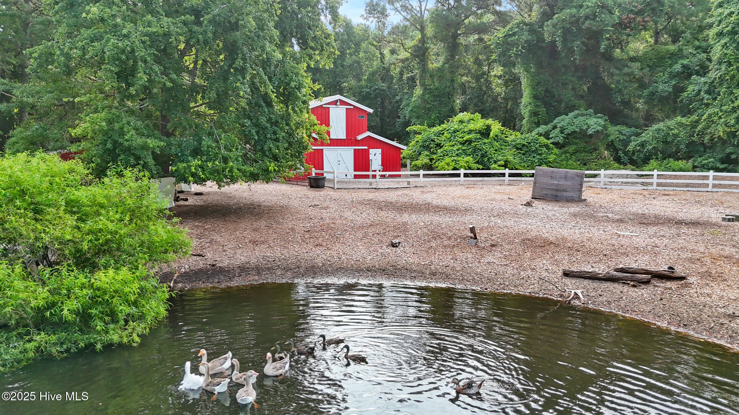 100562127 | Photo 65