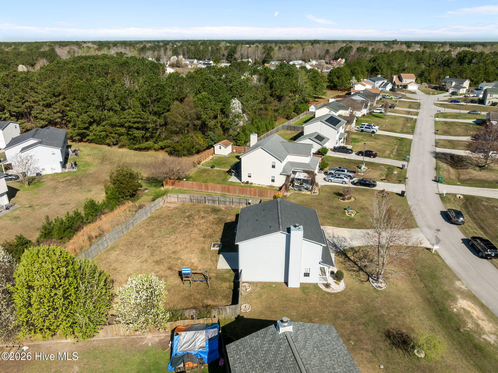 100561197 | Photo 55