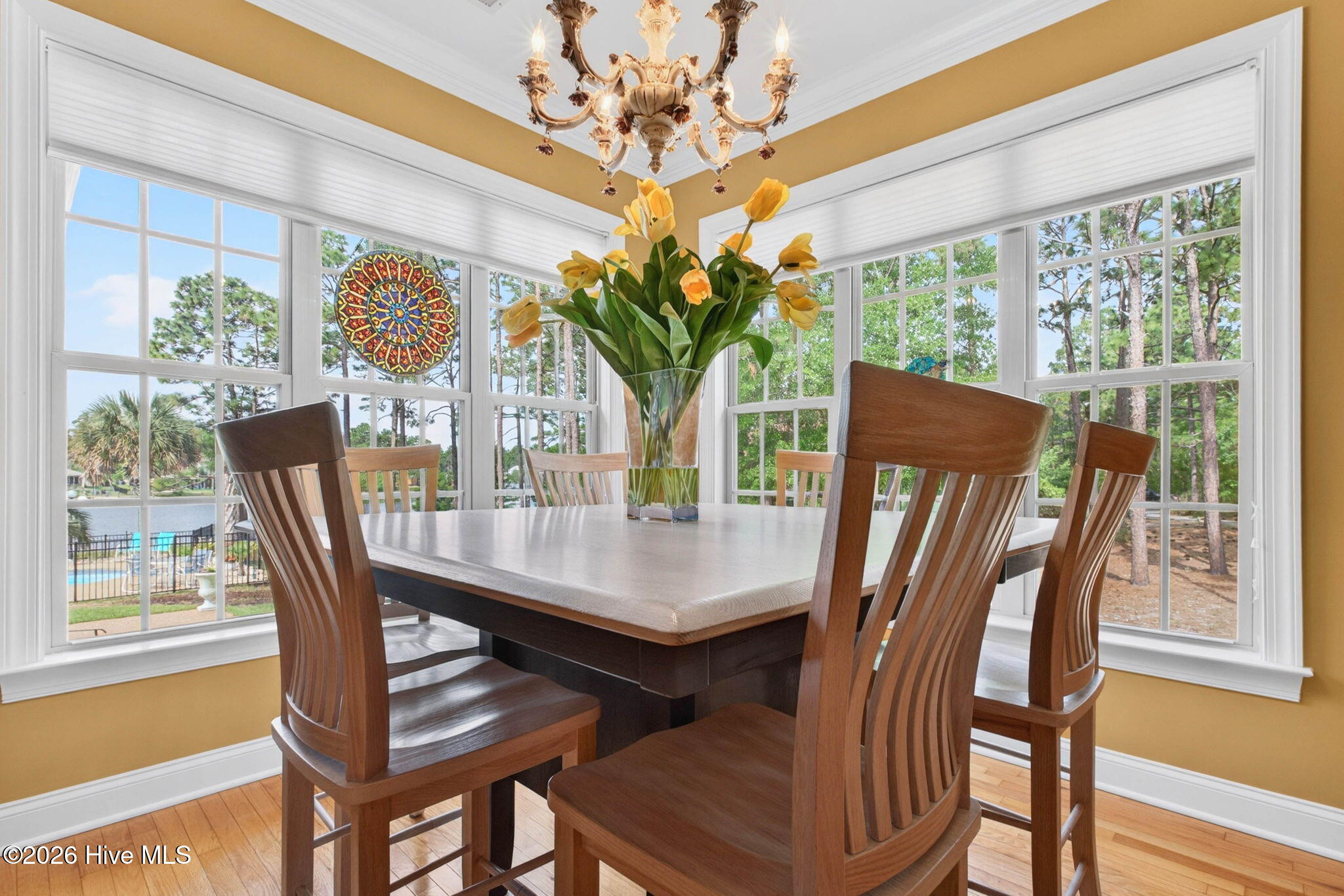 100569405 | Photo 16