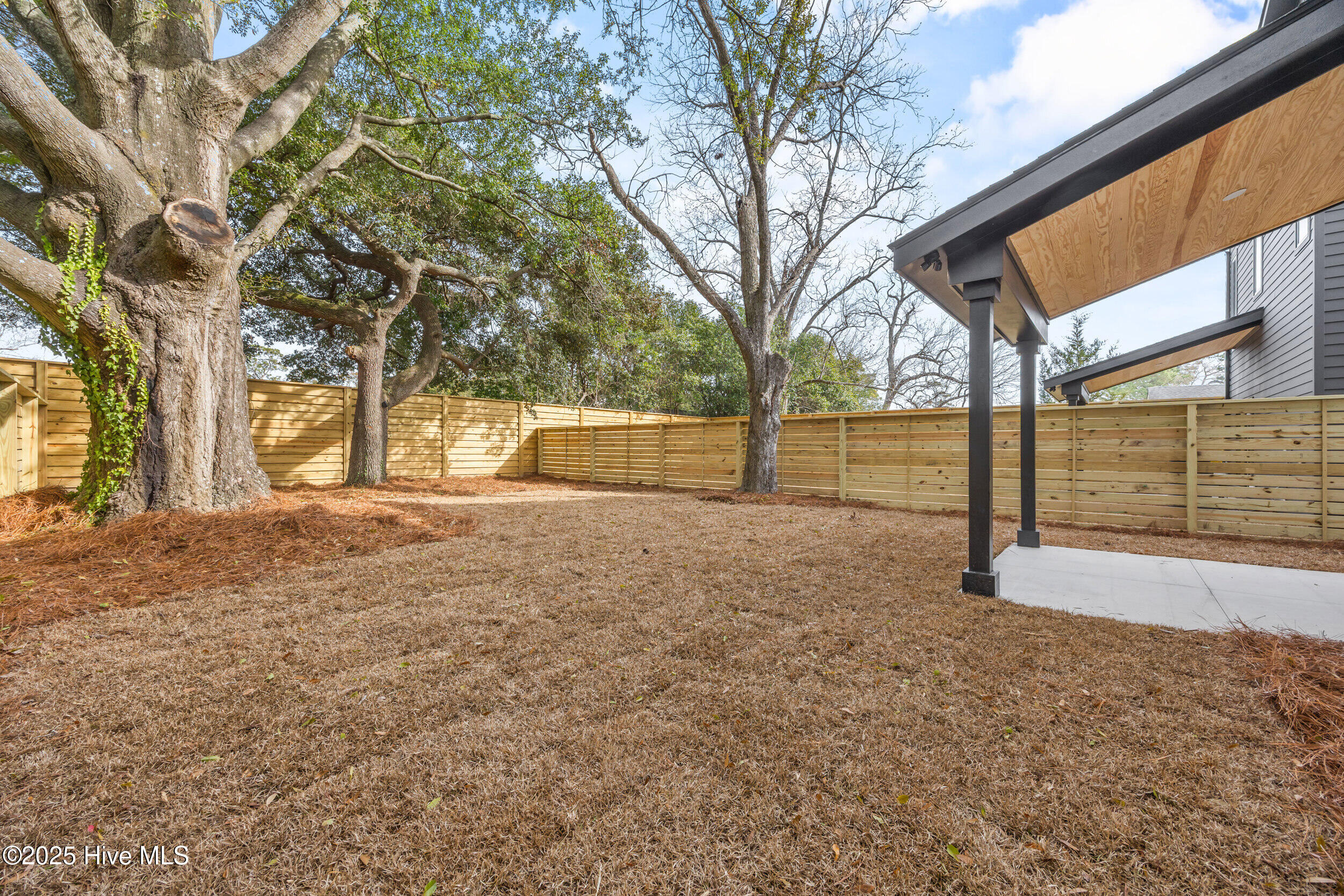 100557890 | Photo 44