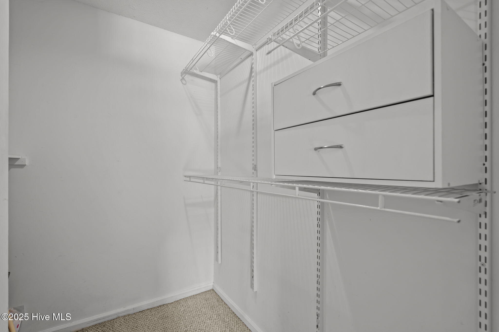 100529850 | Photo 23