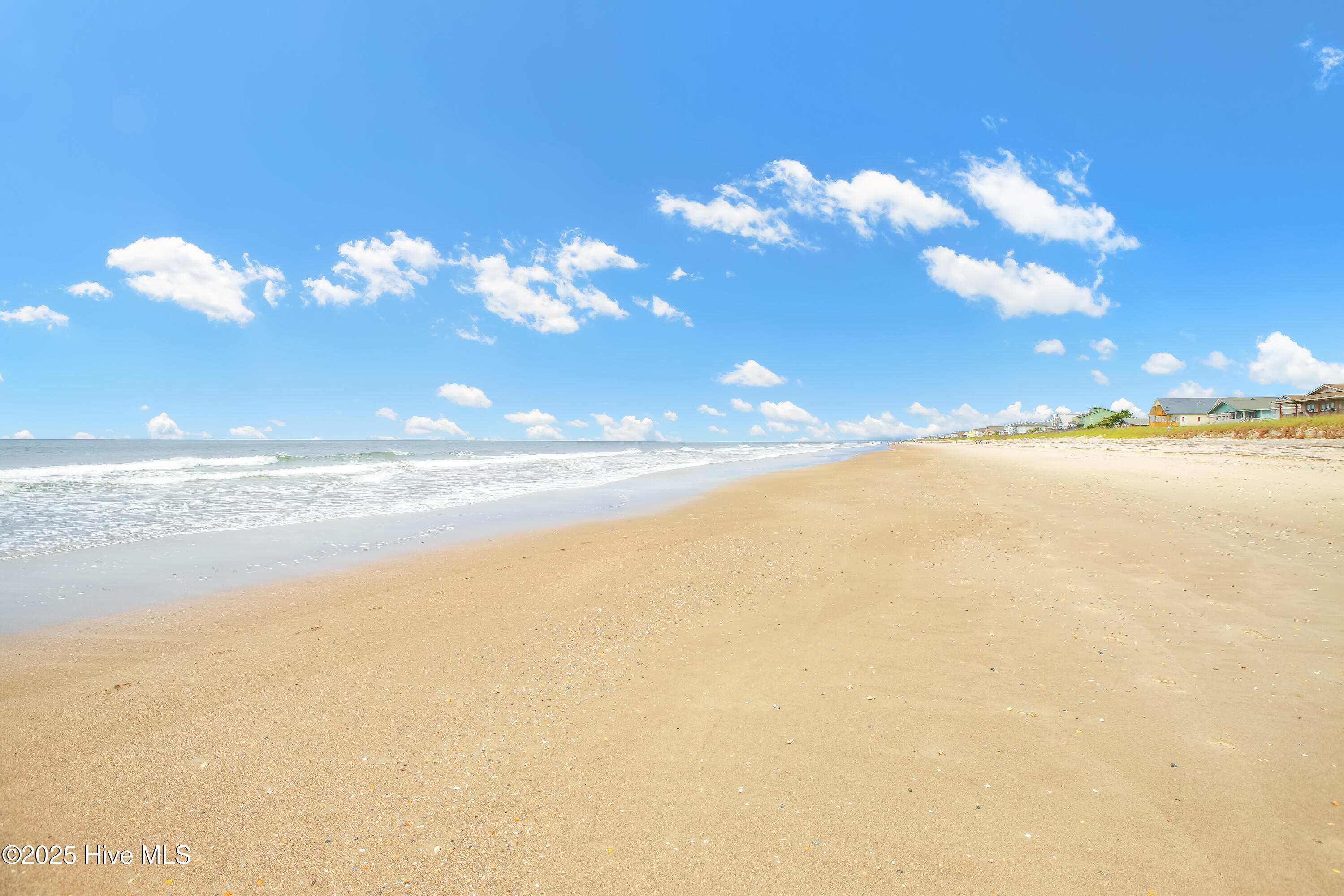 100556087 | Photo 25