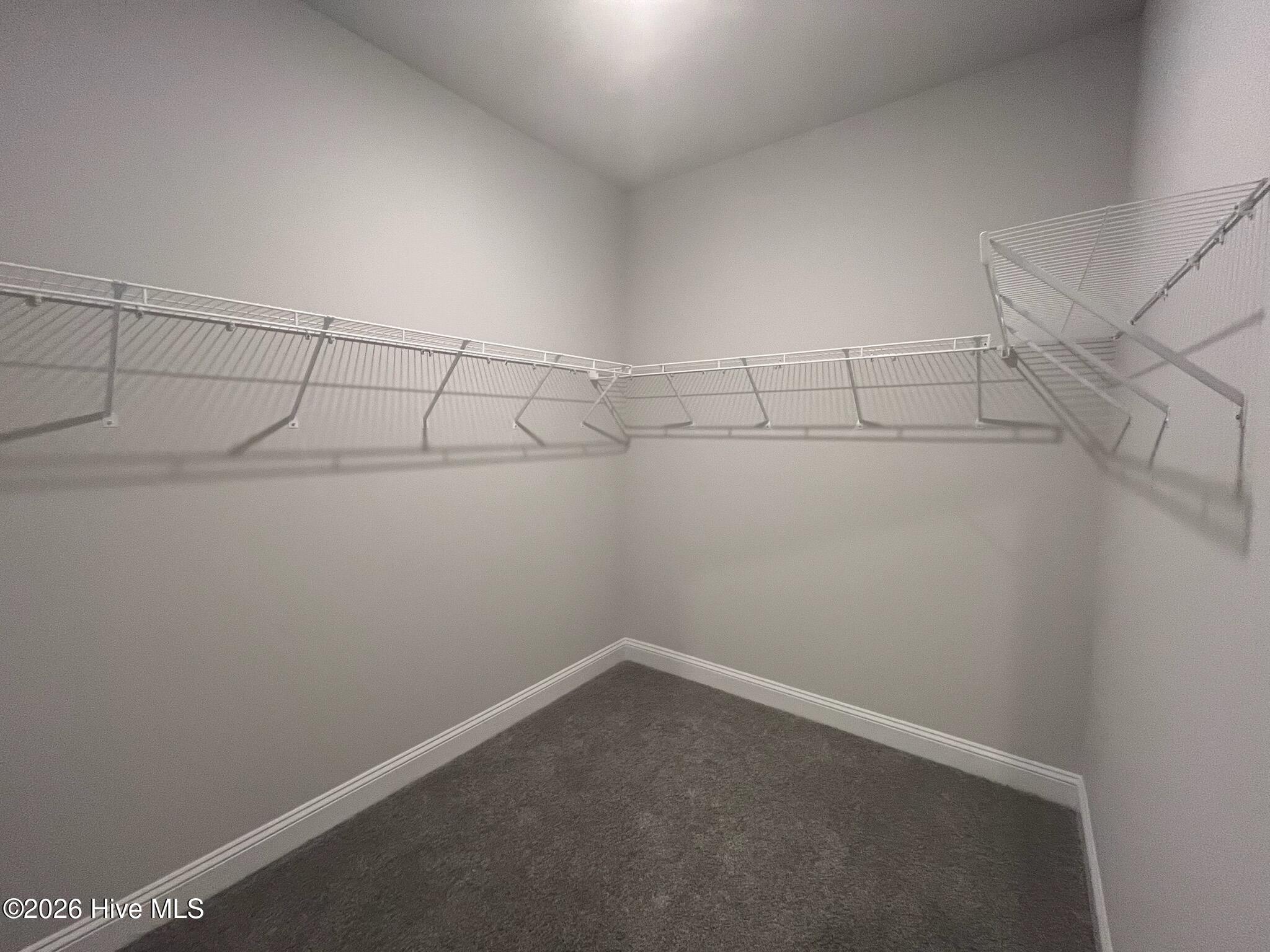 100552296 | Photo 23