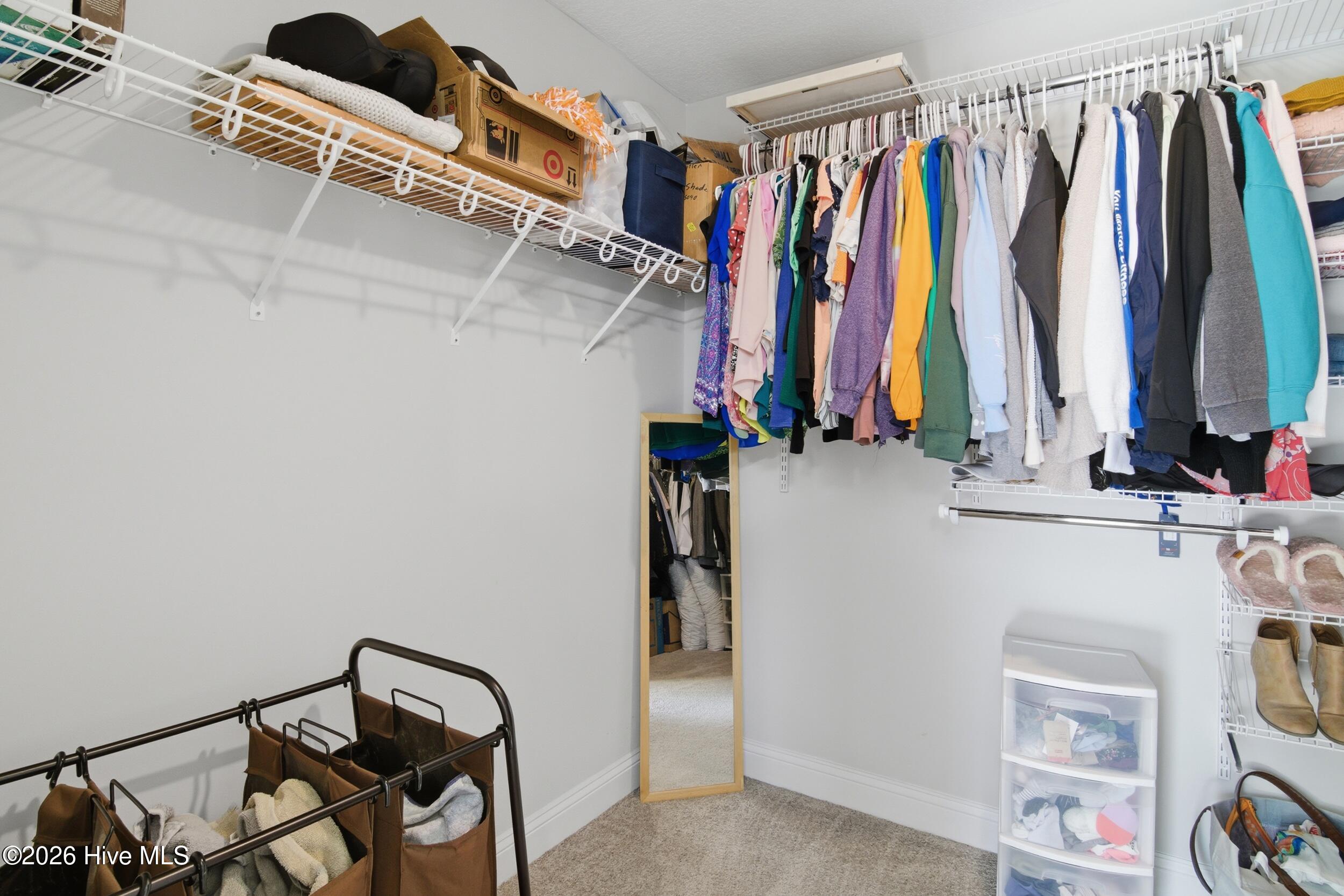 100552695 | Photo 43