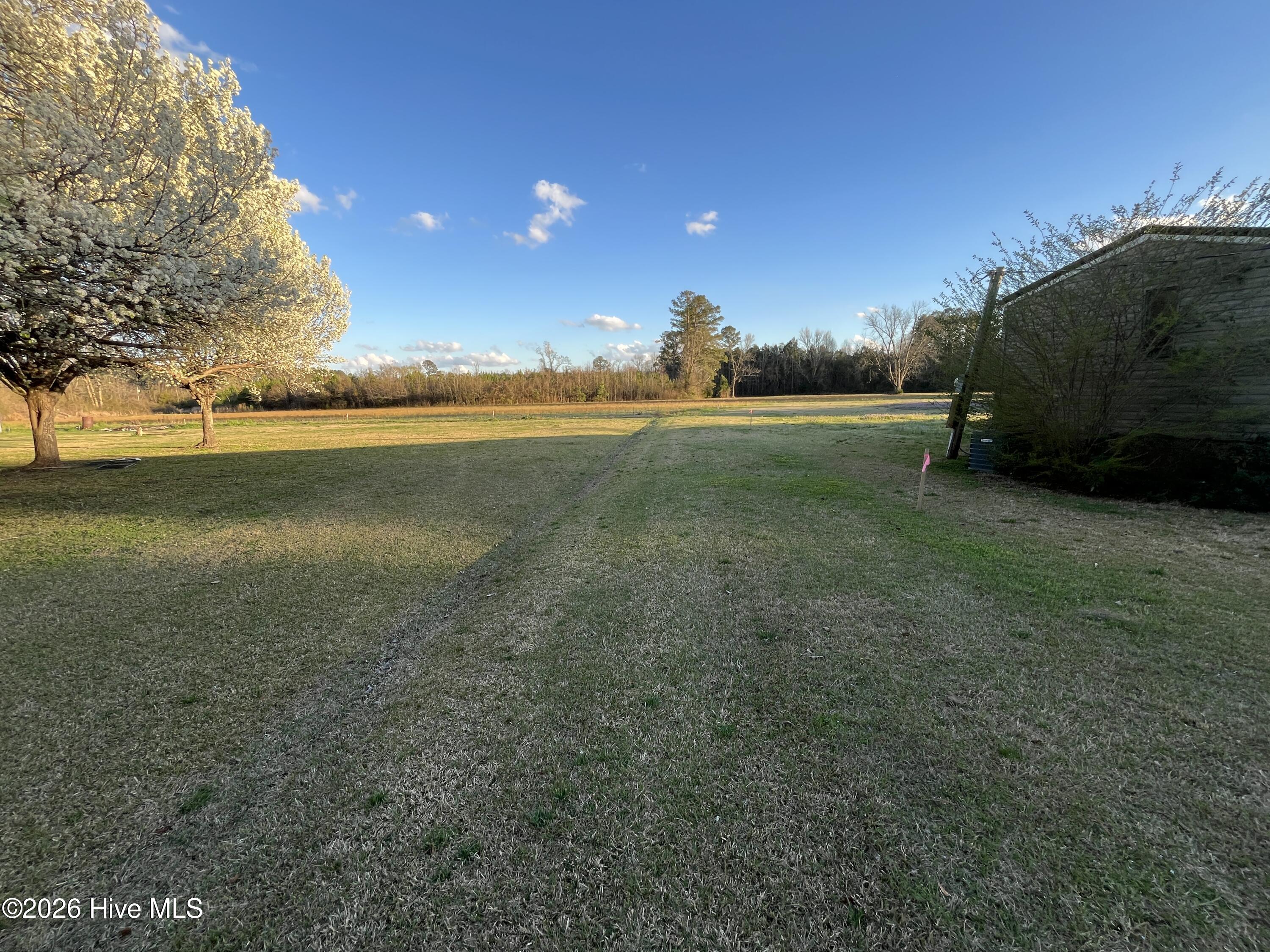 100568963 | Photo 23