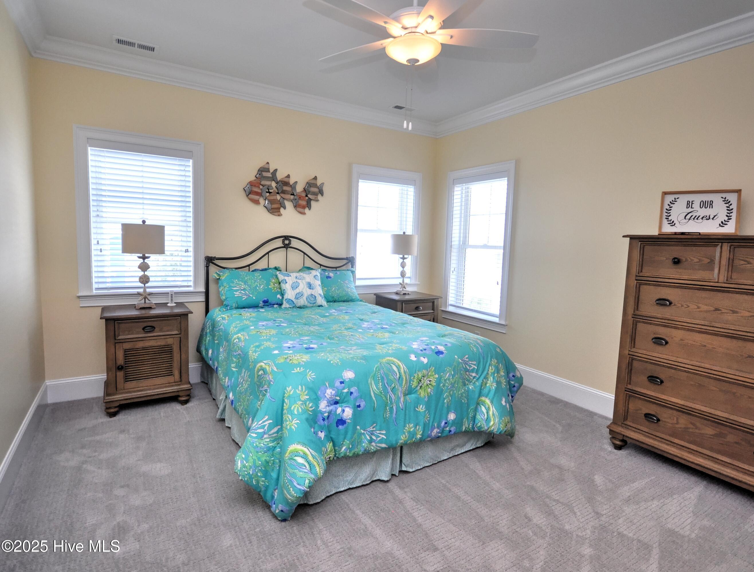 100533074 | Photo 56