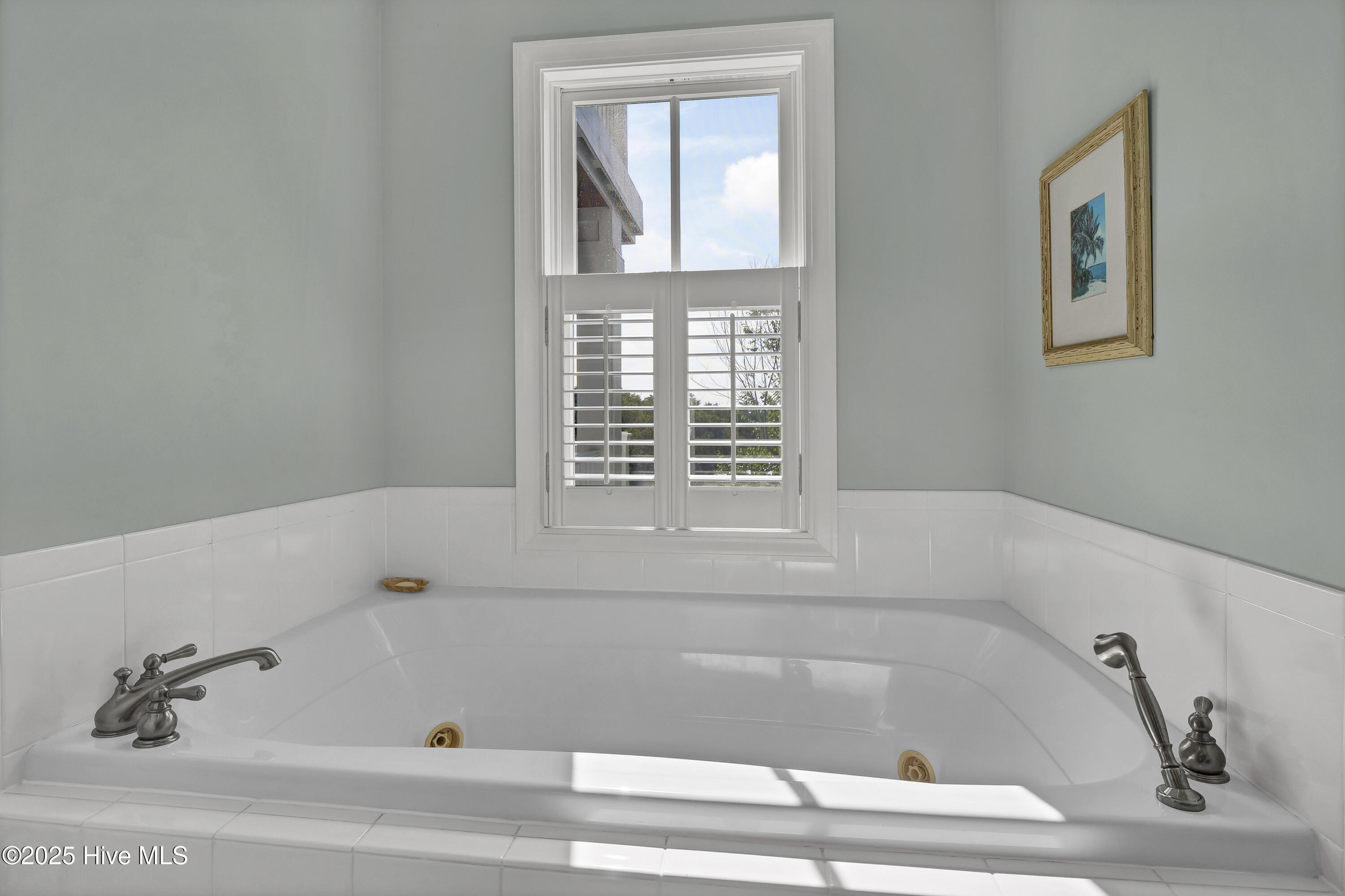 100528059 | Photo 35