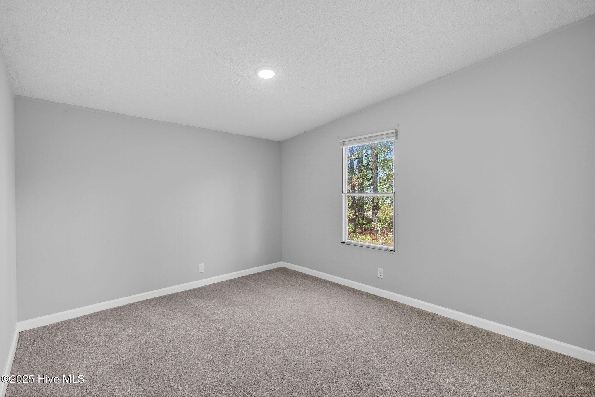 100544256 | Photo 18