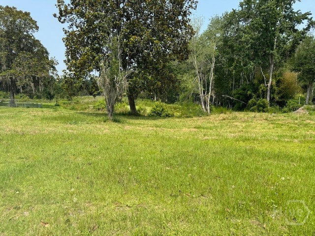 Homes for sale in Townsend, GA | 0 Us Hwy 17 Hwy, Townsend, GA 31331 | MLS# SA327199