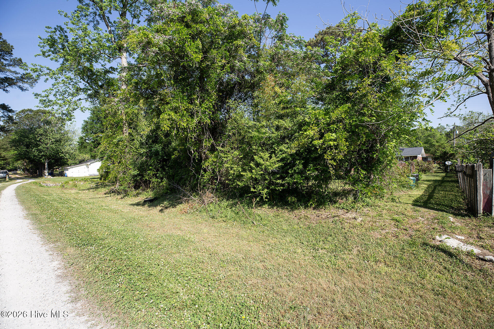 100567533 | Photo 32