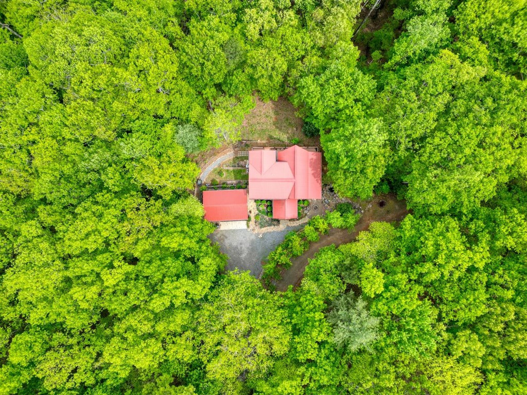 529 Talulu Pass, Murphy, NC 28906 Listing Photo  54