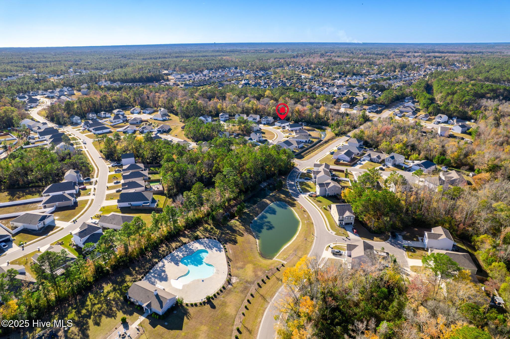 100542071 | Photo 31