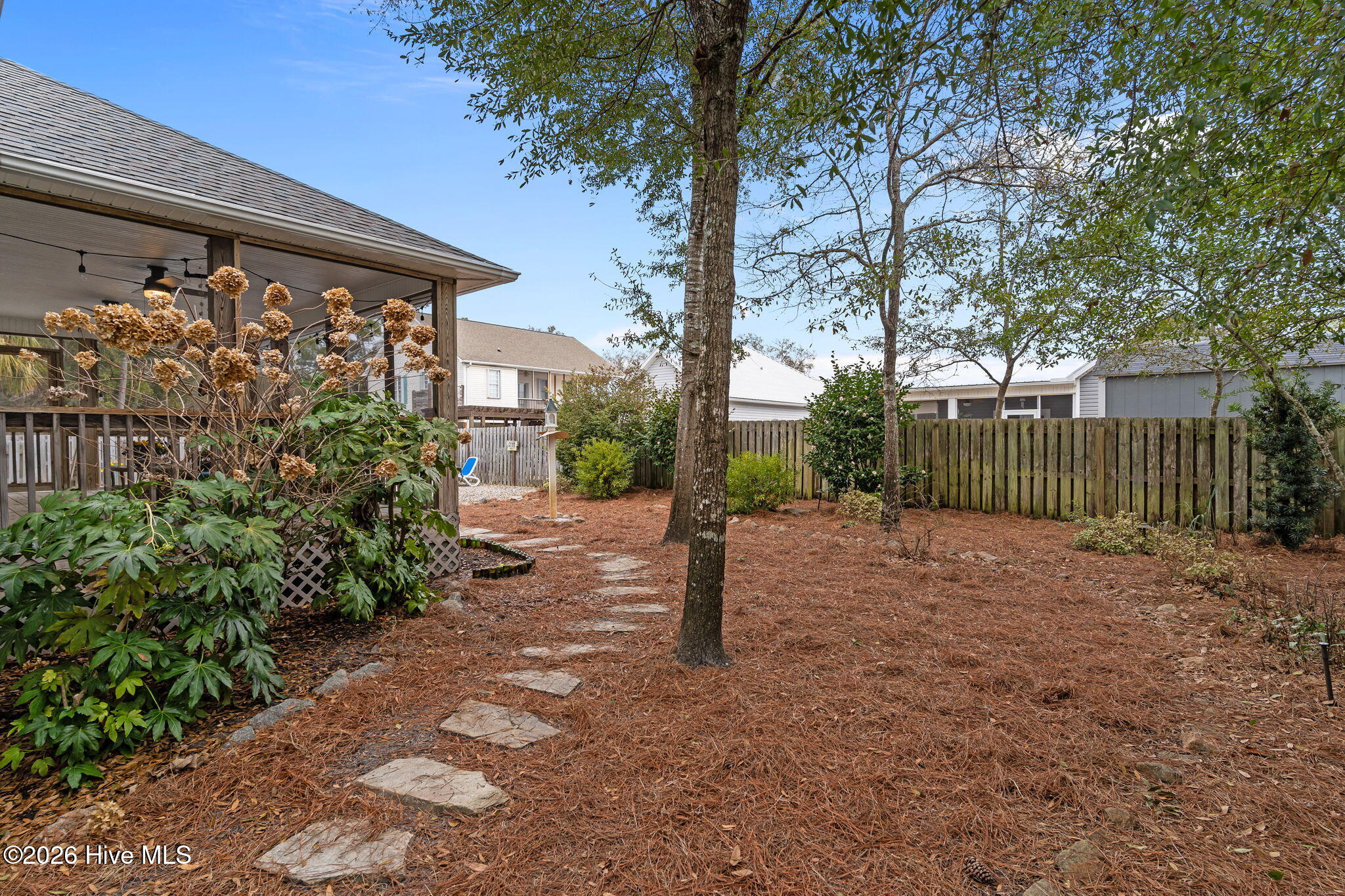 100555796 | Photo 46