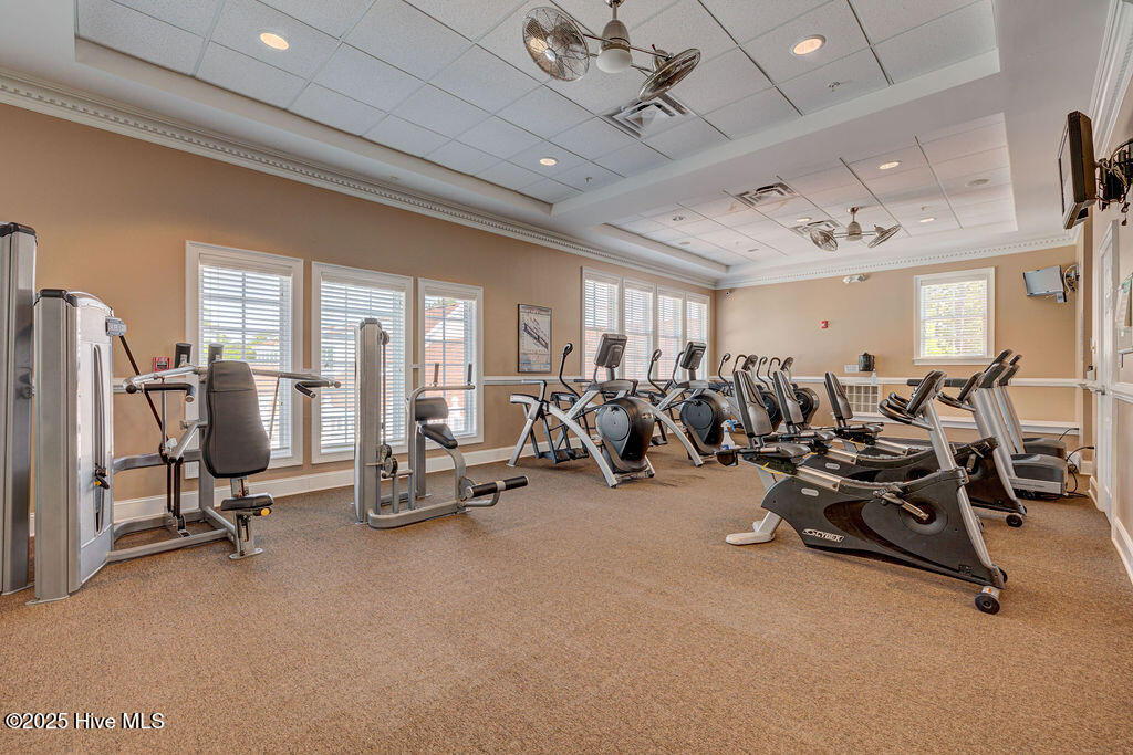 100530100 | Photo 40