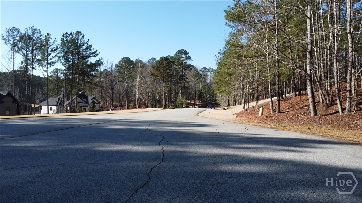 Homes for sale in Greensboro, GA | 1060 Forrest Highlands, Greensboro, GA 30642 | MLS# CL348581