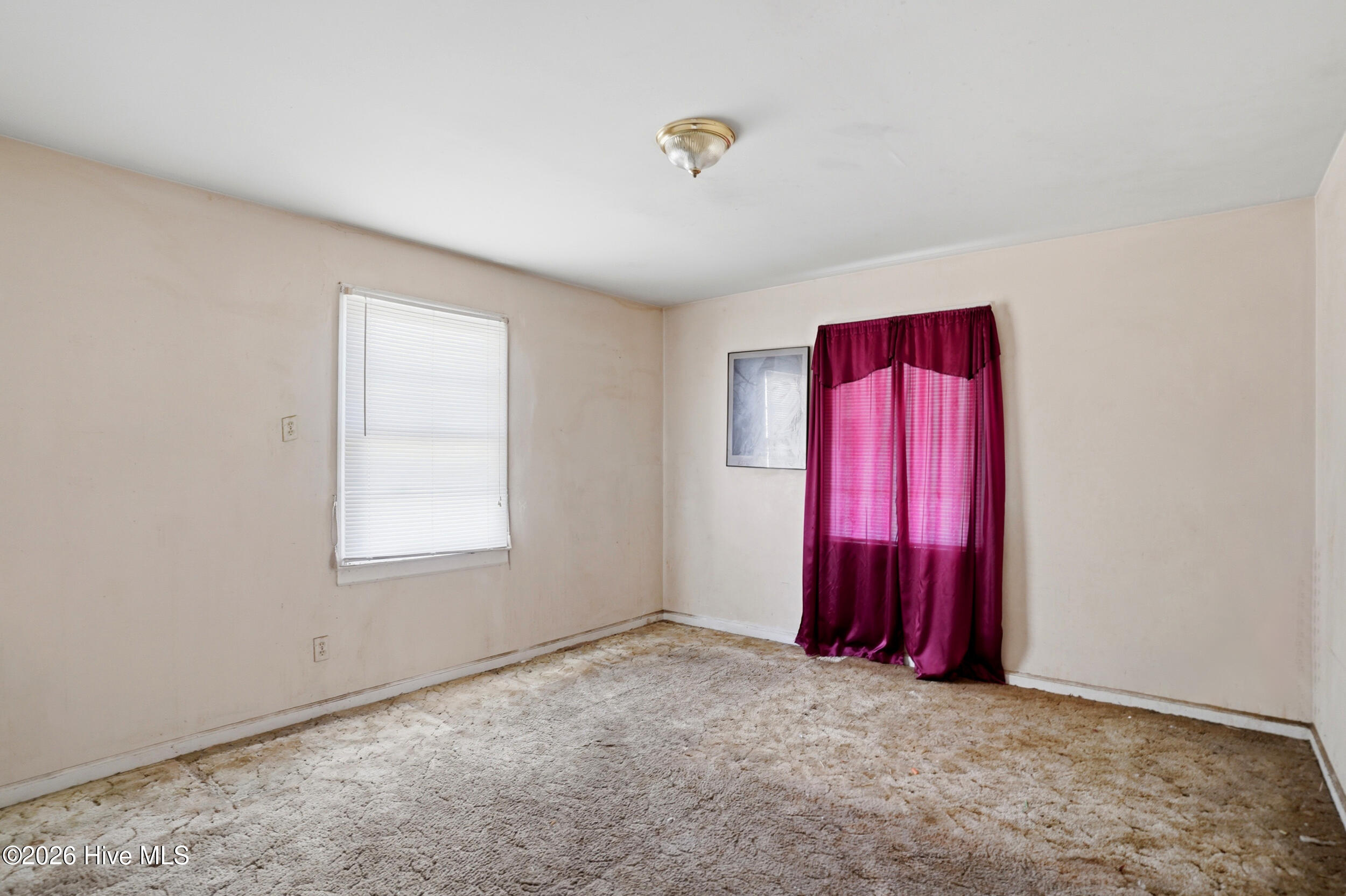 100564252 | Photo 14