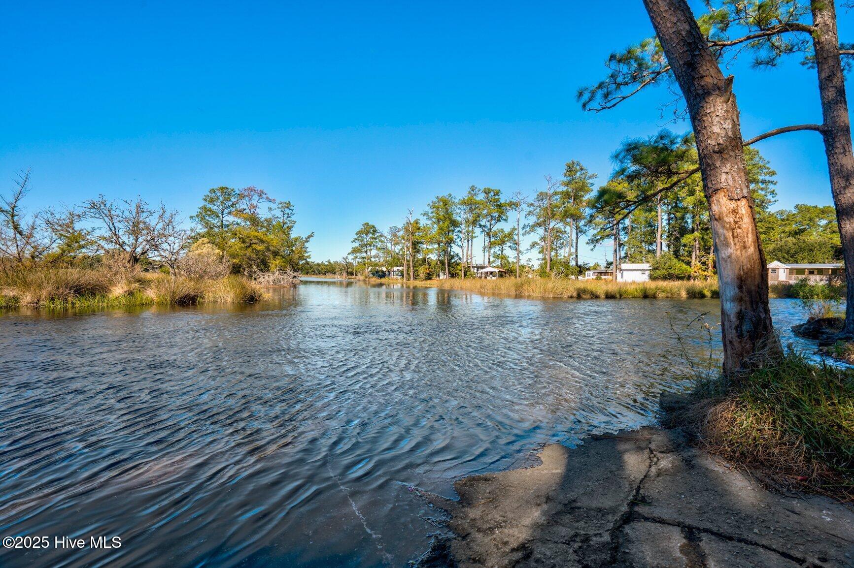 100539202 | Photo 29