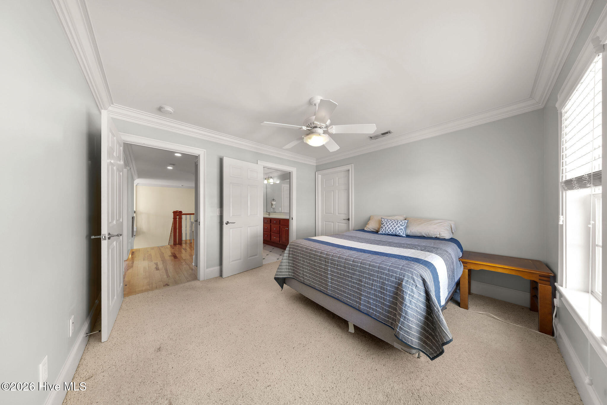 100557018 | Photo 47