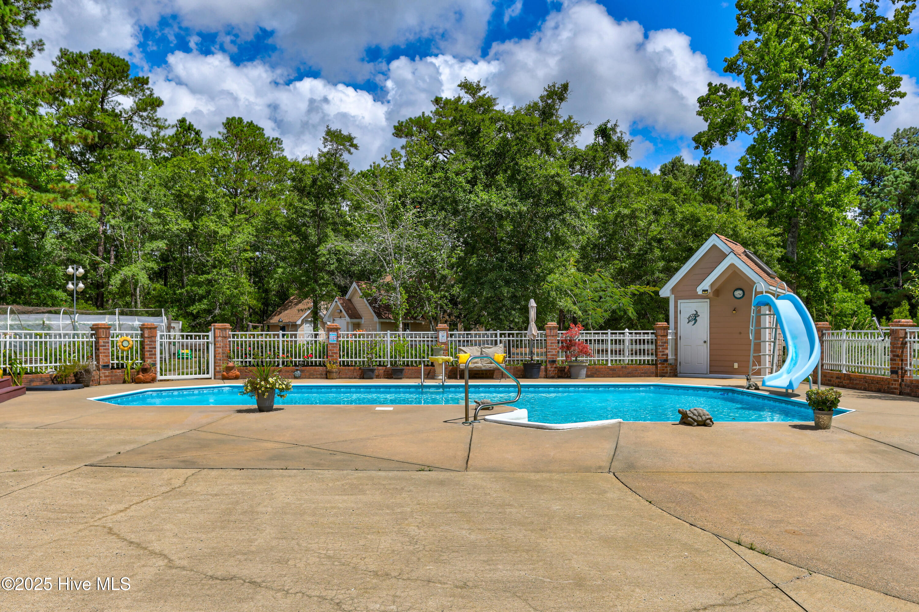 100517619 | Photo 66