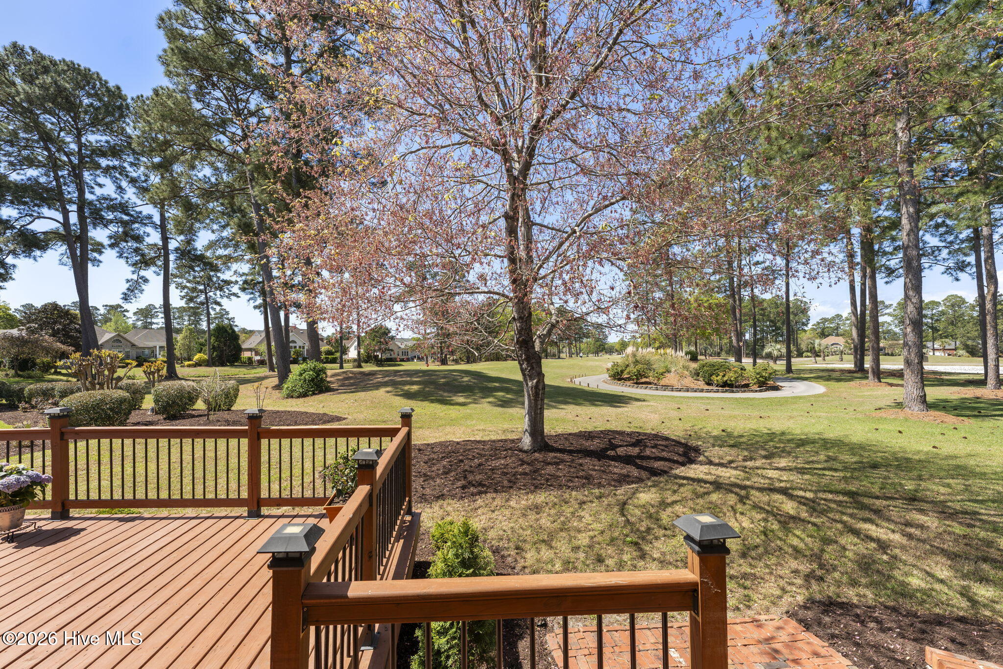 100563951 | Photo 17