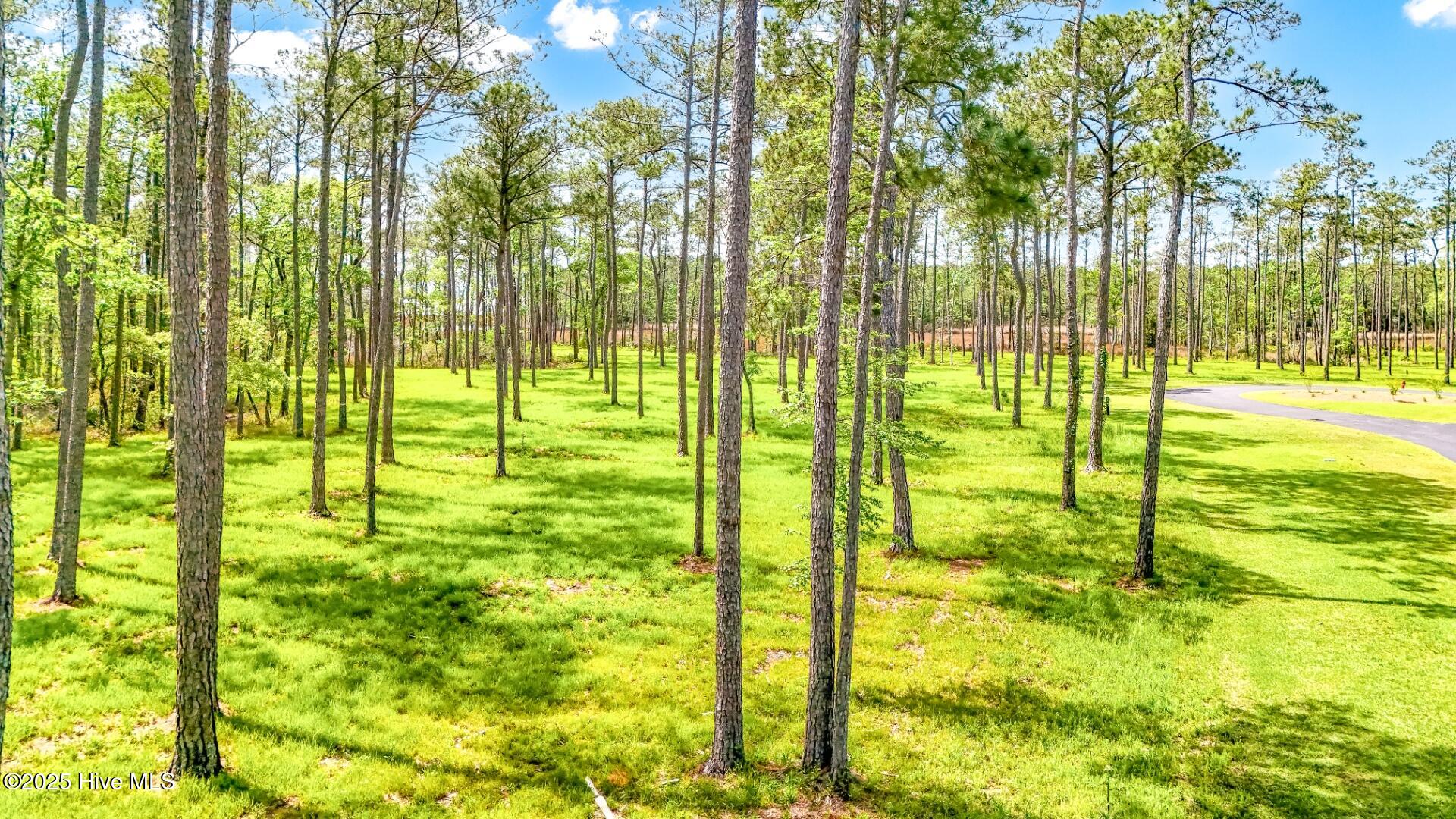 175 River Watch Road, Oriental, NC, 28571