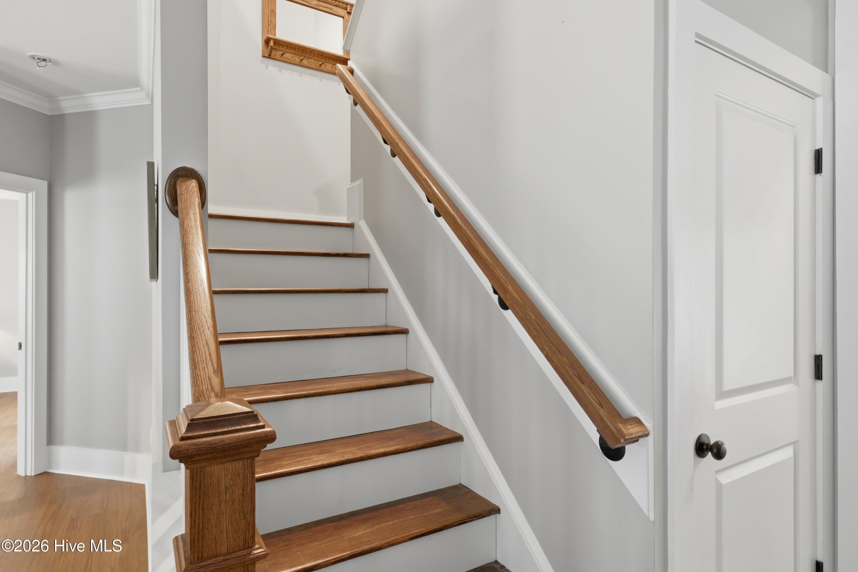 100569472 | Photo 35