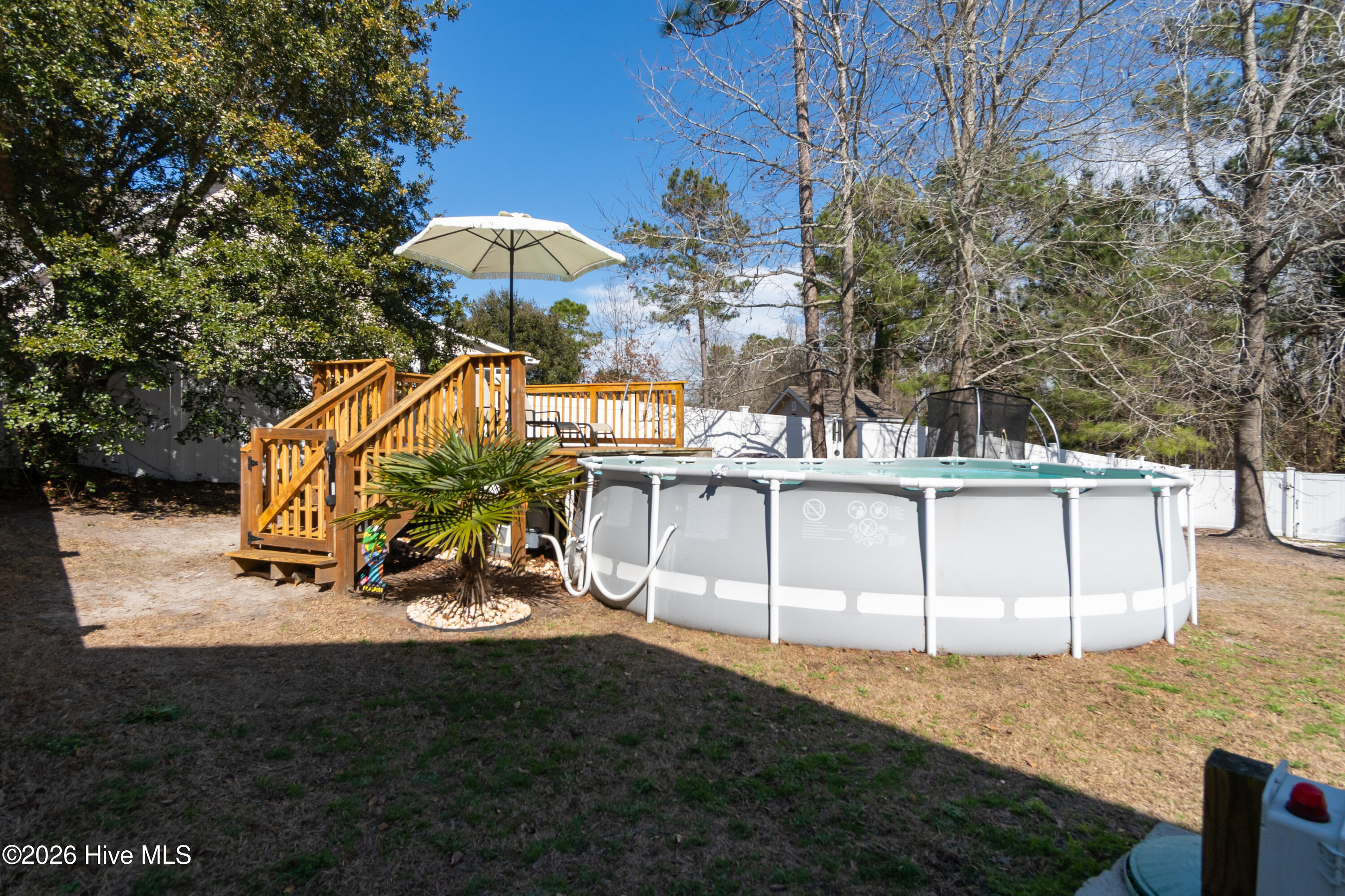 100558497 | Photo 44