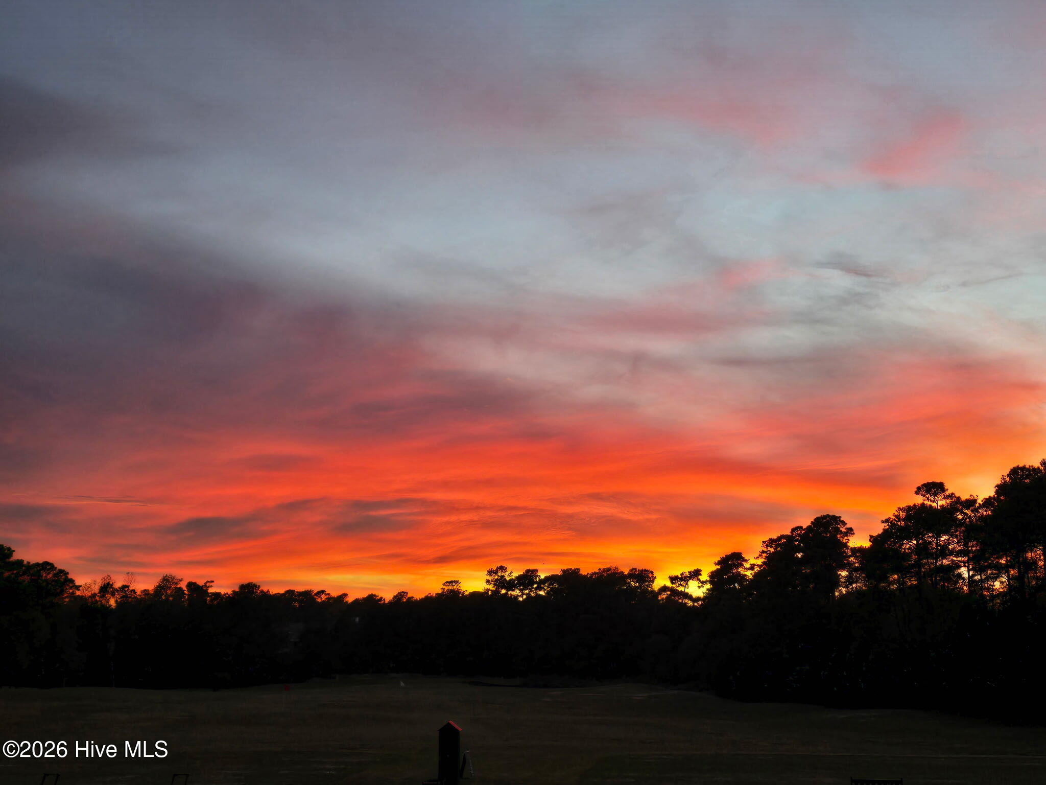 100561397 | Photo 72