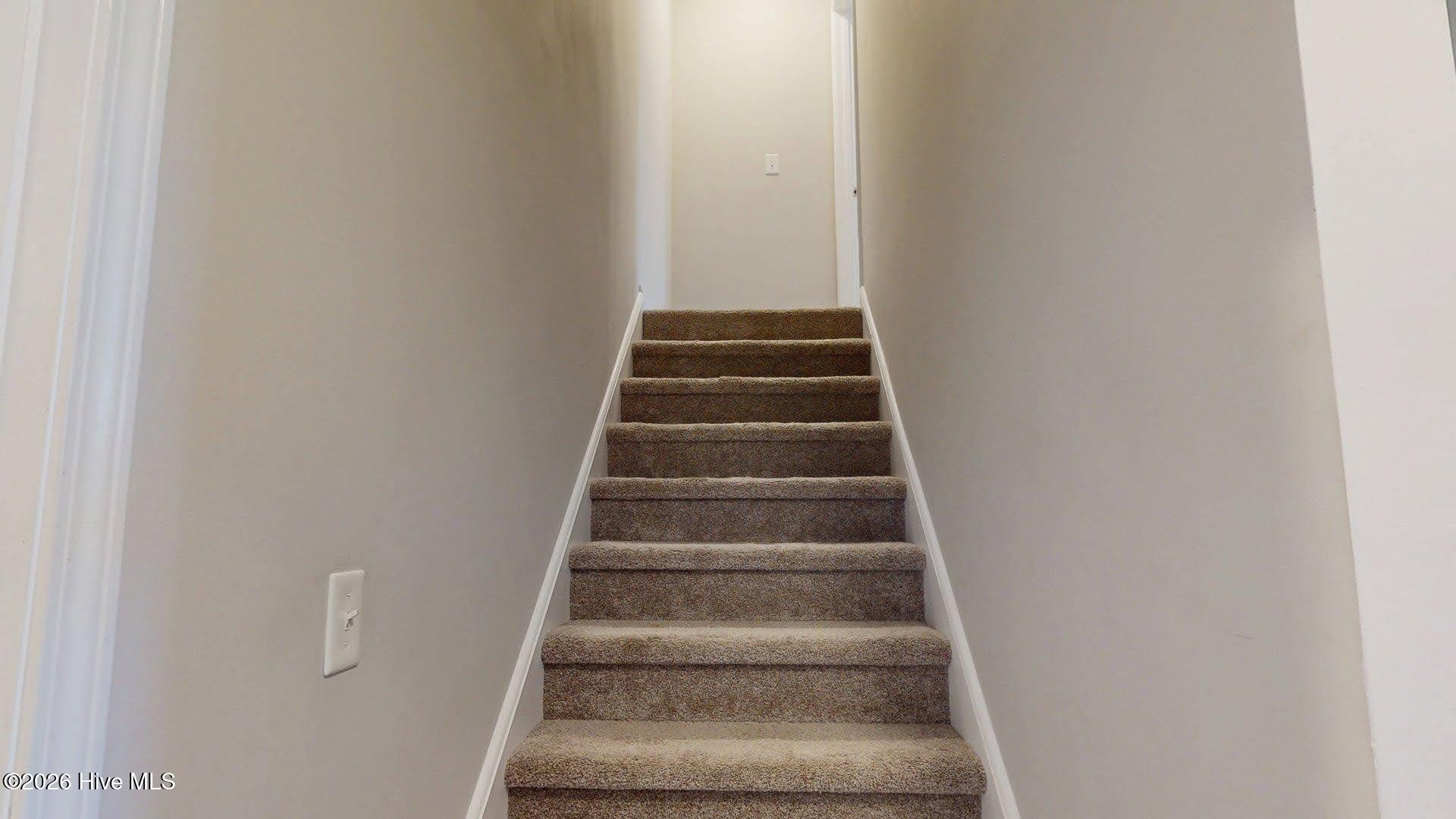 100548342 | Photo 35