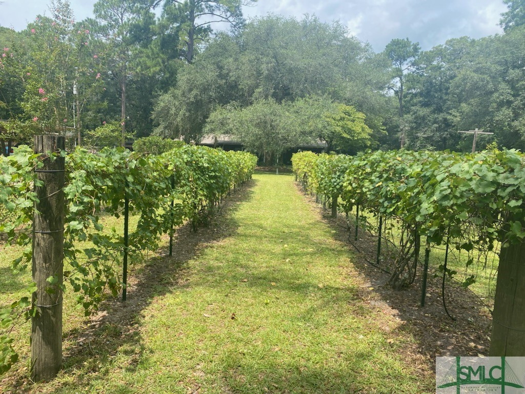 1165 Chimney Road, Rincon, GA, 31326