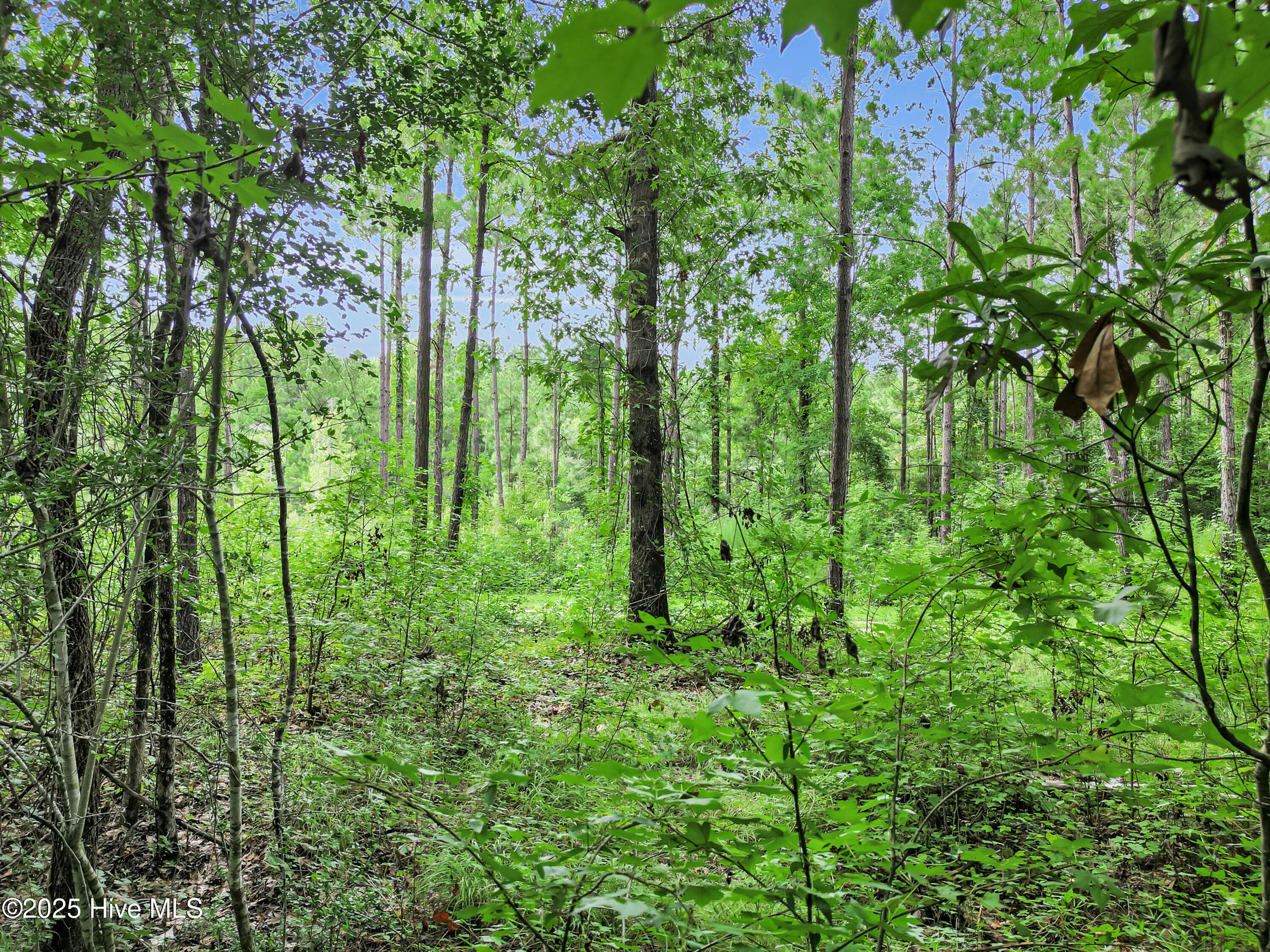 705 Sandy Point Drive,Beaufort