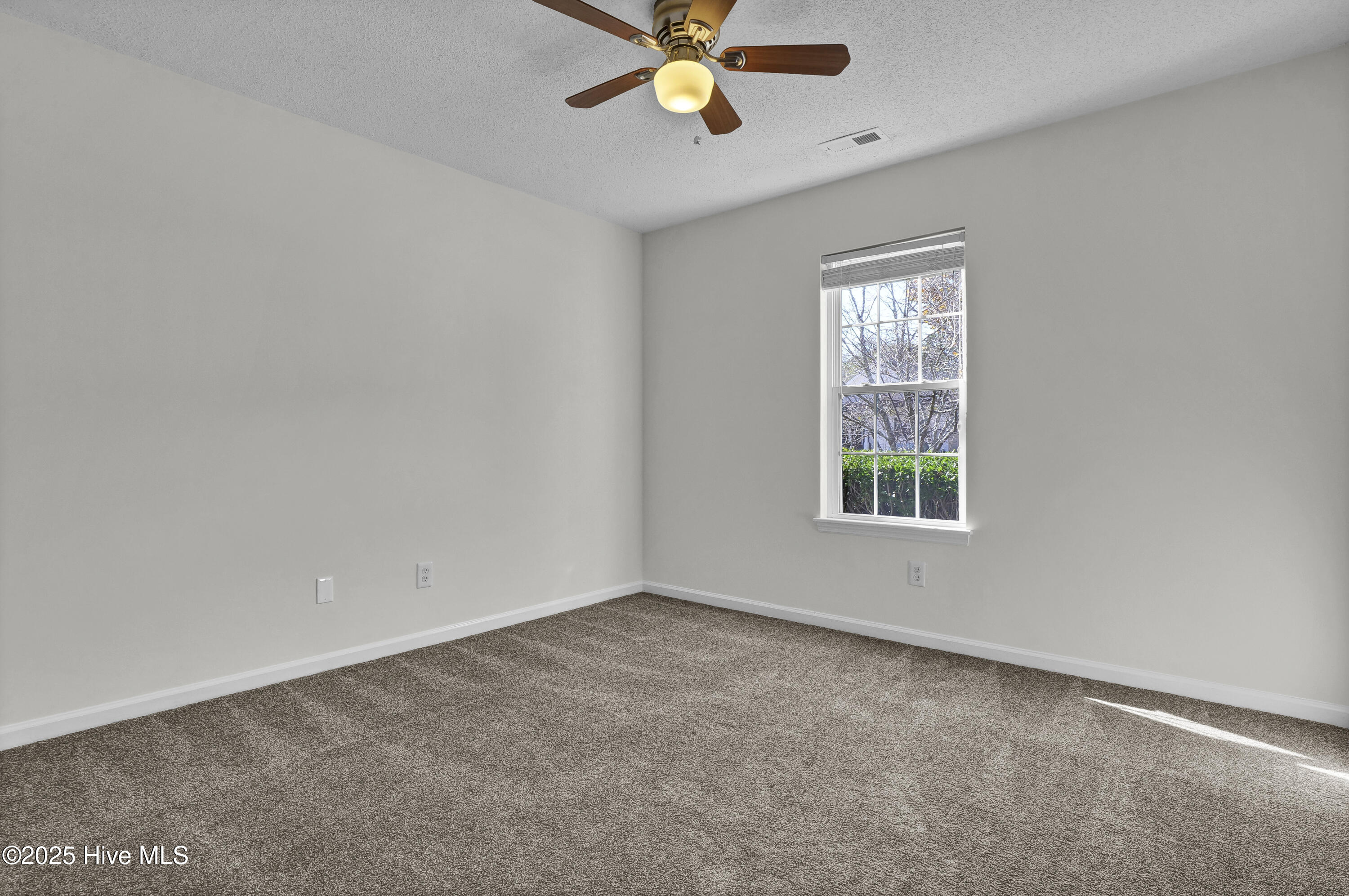 100540717 | Photo 25