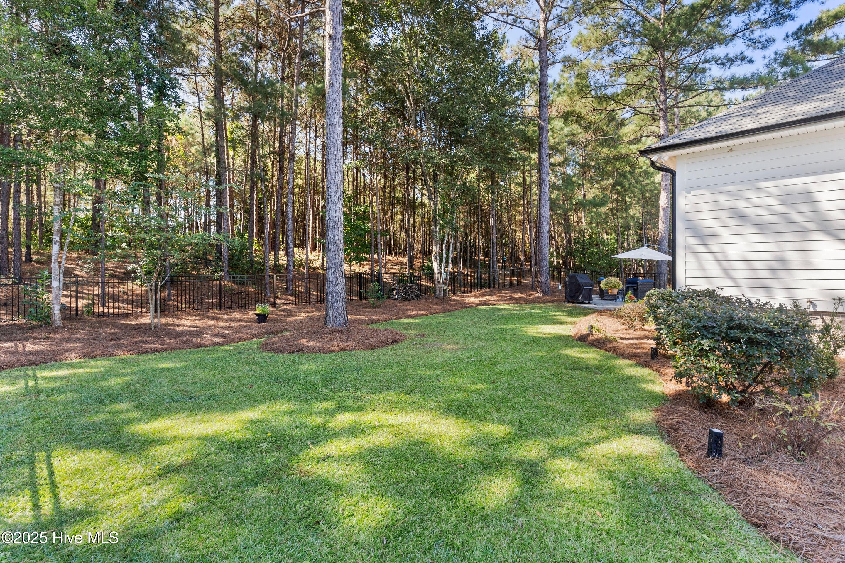 100532334 | Photo 44