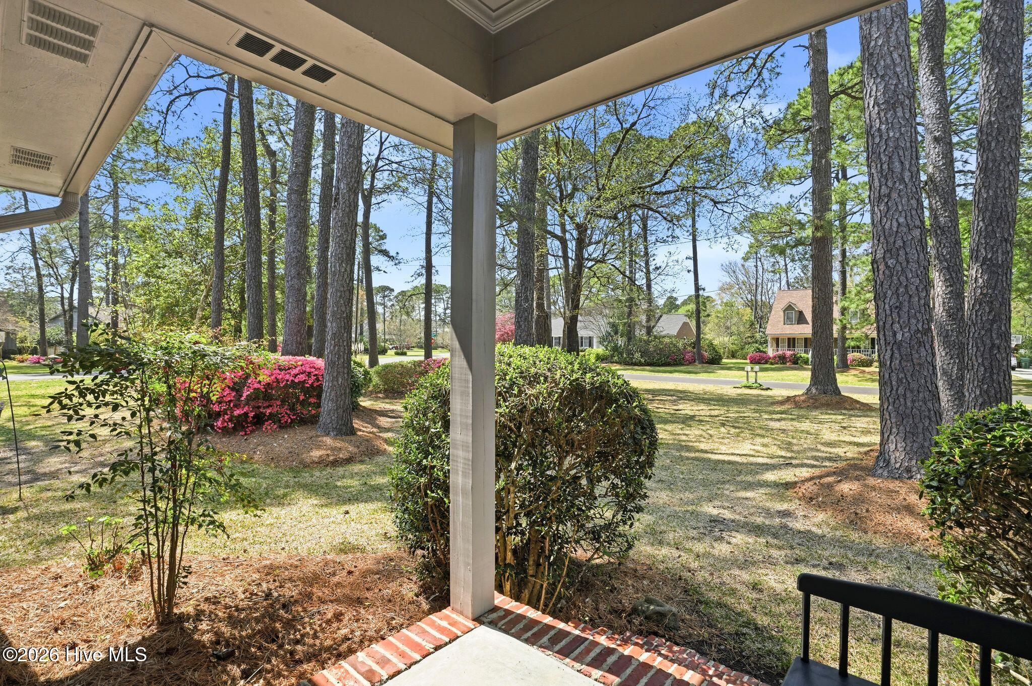 100563763 | Photo 10