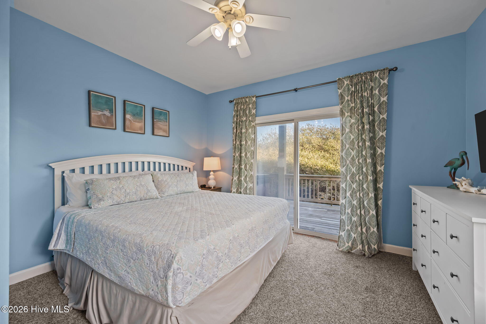 100565208 | Photo 47