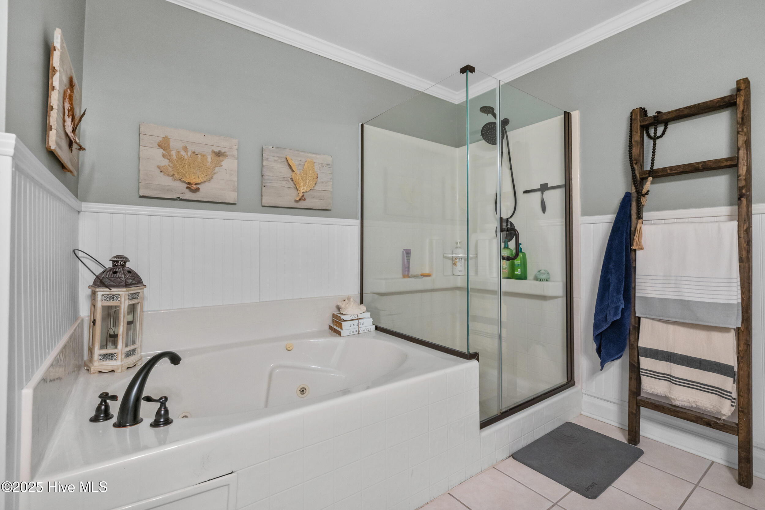 100531411 | Photo 30