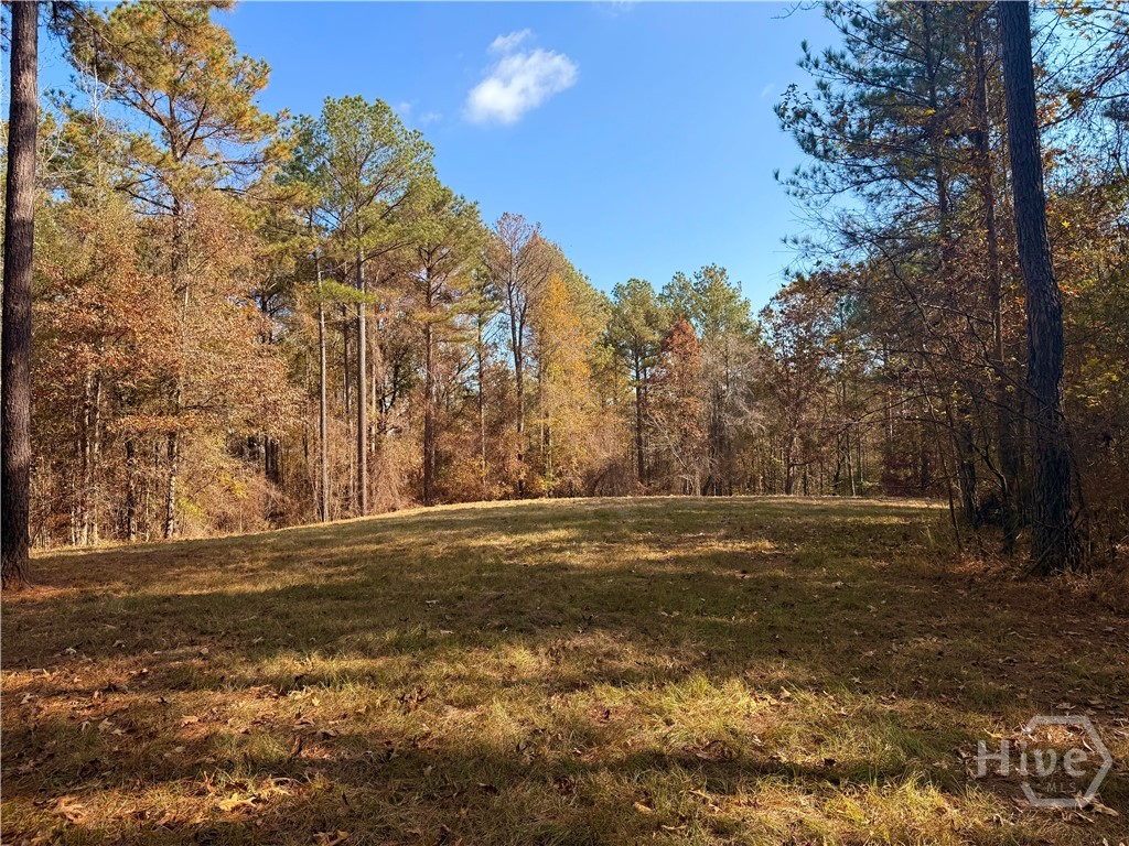 Homes for sale in Madison, GA | #8 Apalachee Ridge #1140, Madison, GA 30650 | MLS# CL343581