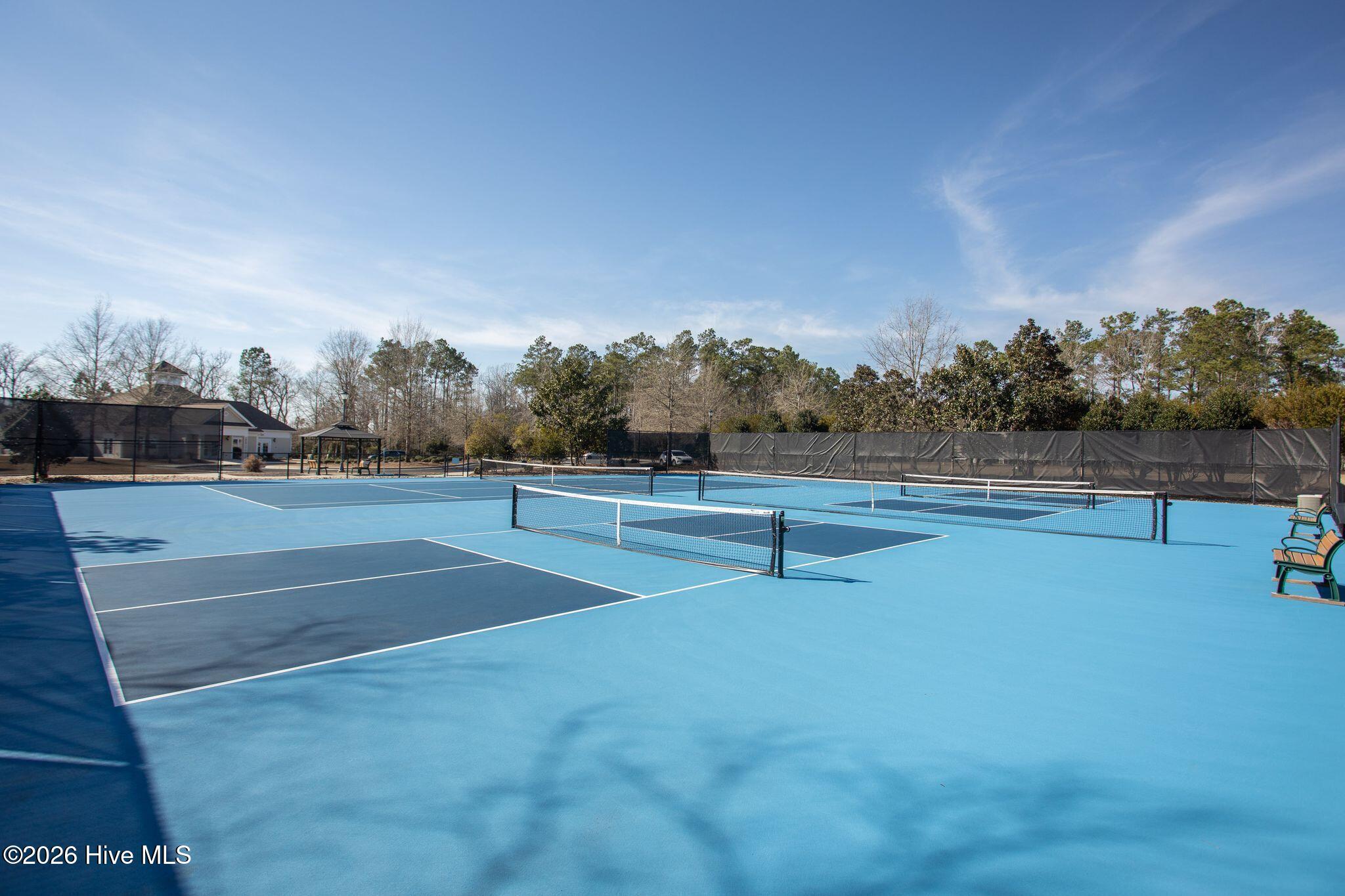 100560702 | Photo 94