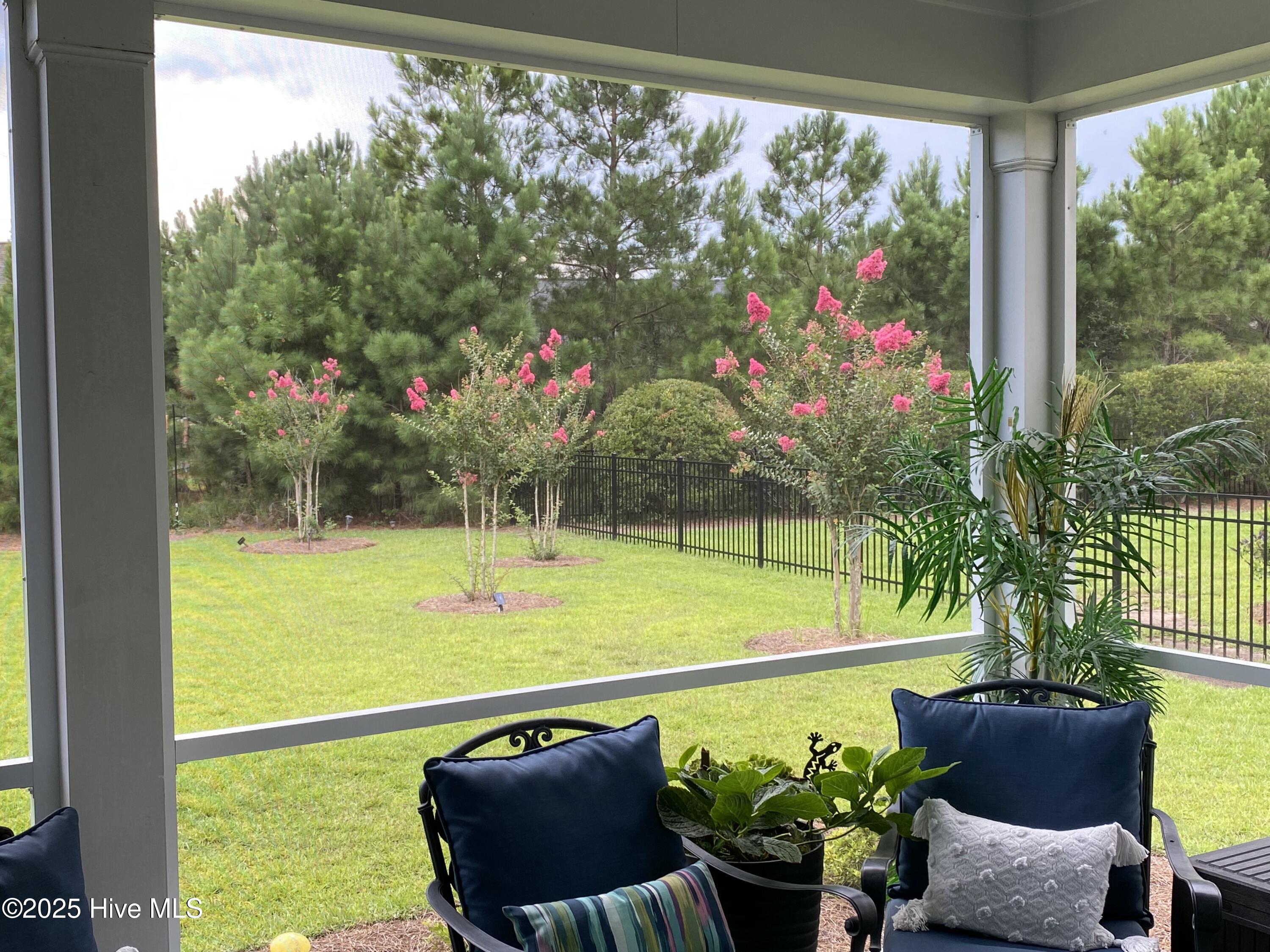 100529992 | Photo 38