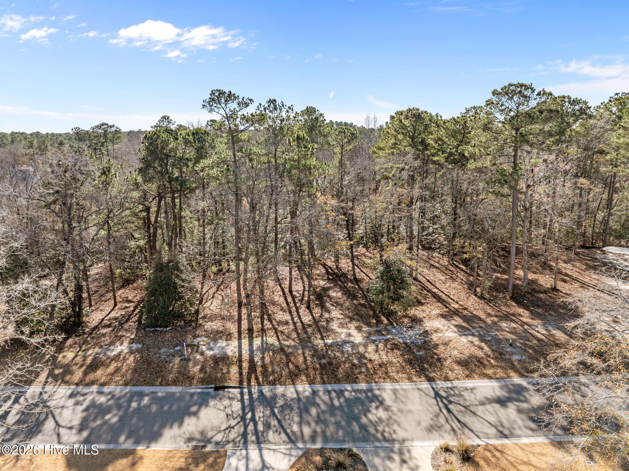 100547475 | Photo 20